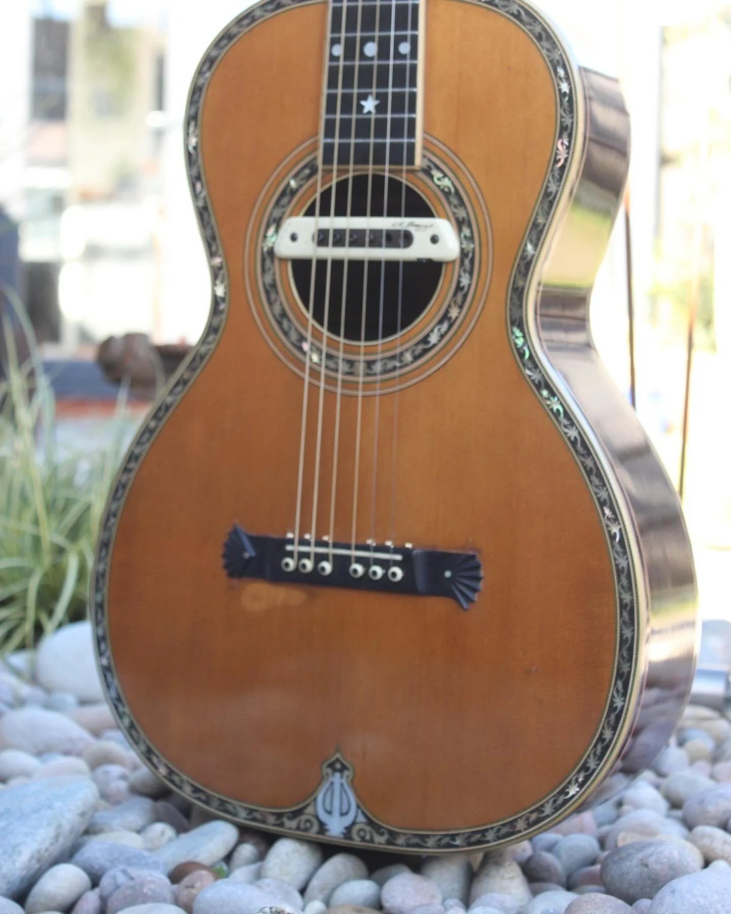 A stunning late 1800s George Washburn parlour guitar.
Binding repair, set up and an LR Baggs install.@lrbaggs

#guitarrepair #vintageguitar #parlourguitar #lrbaggs #vintageacoustic #washburn