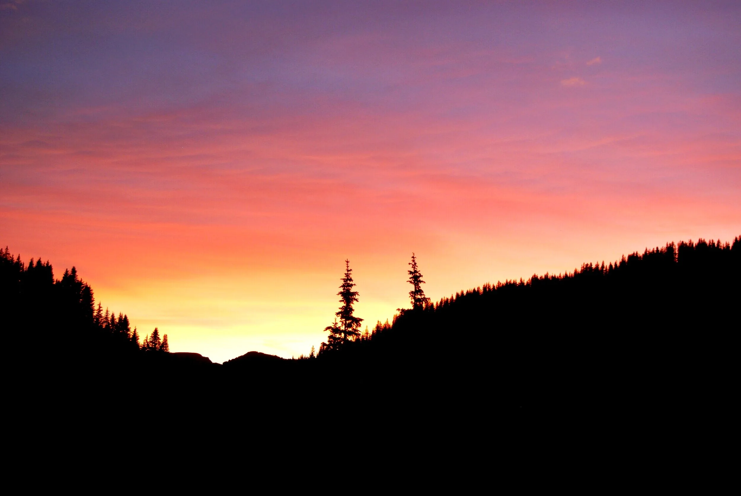 DSC_0046.jpg