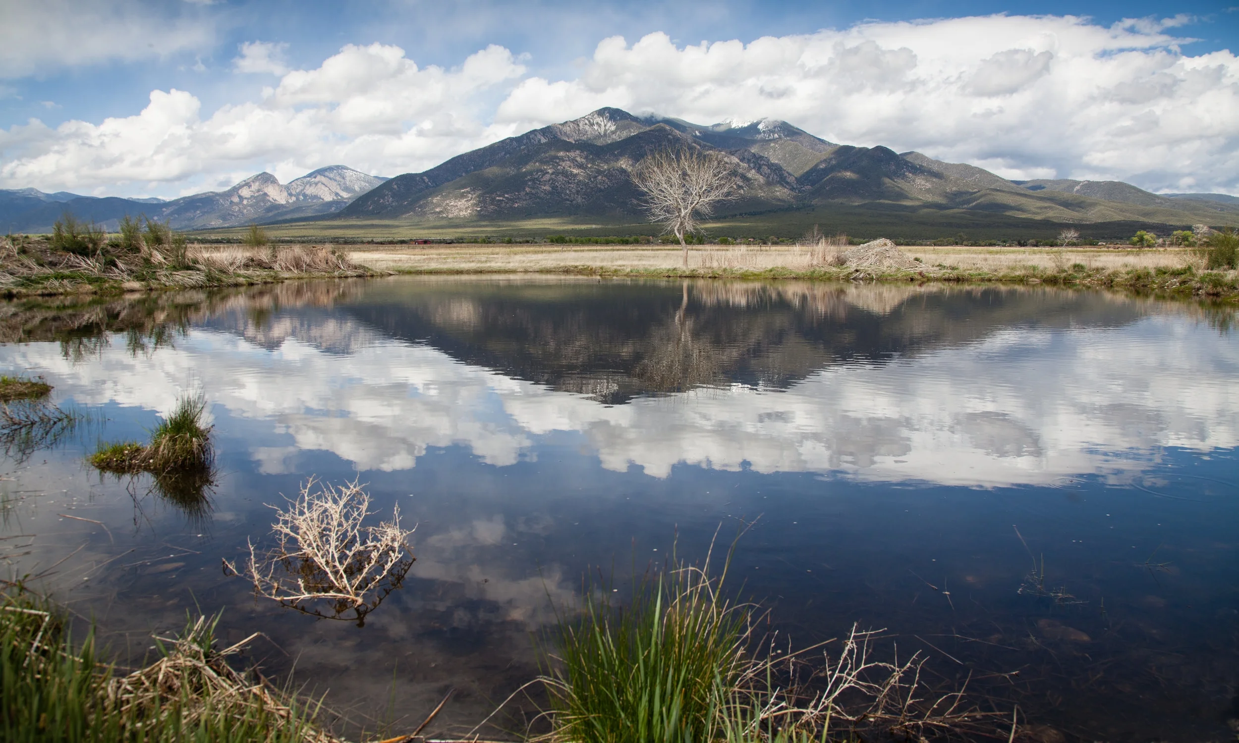 New Mexico Conservation Science