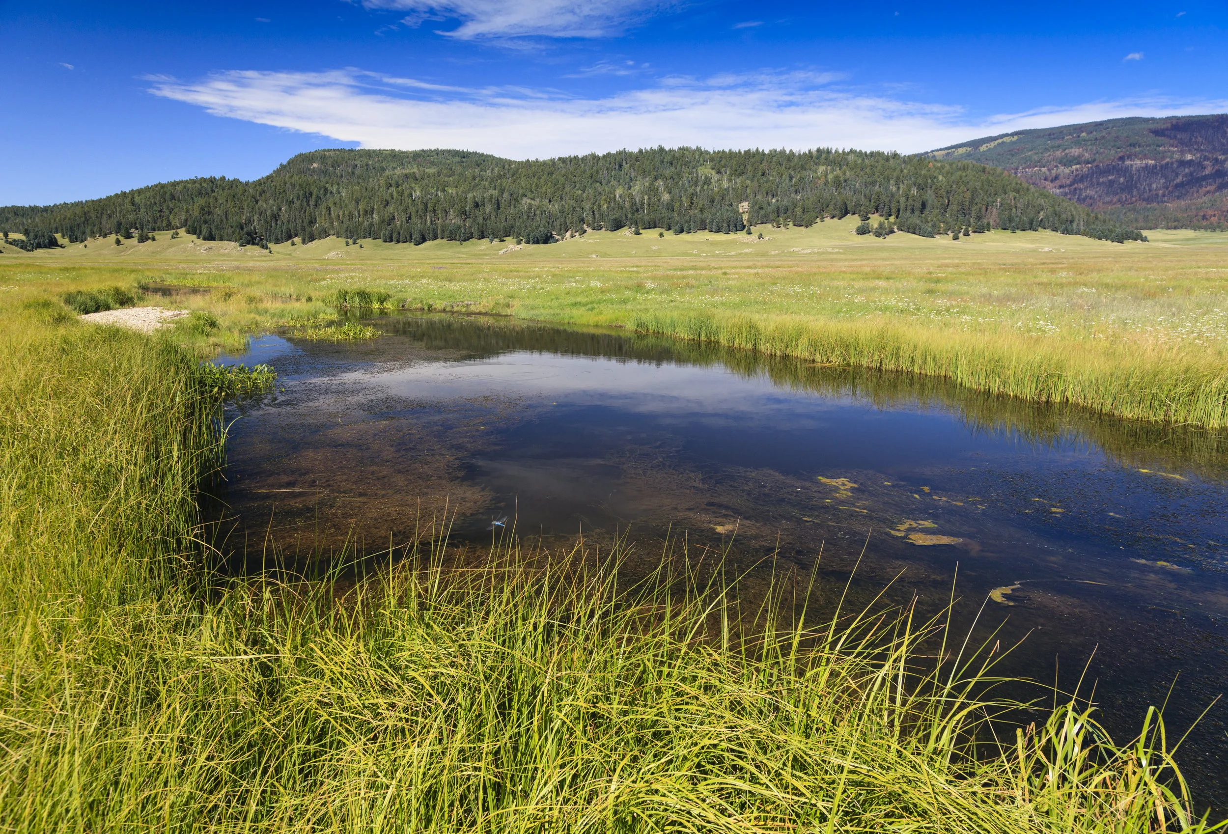 Rio Grande Water Fund