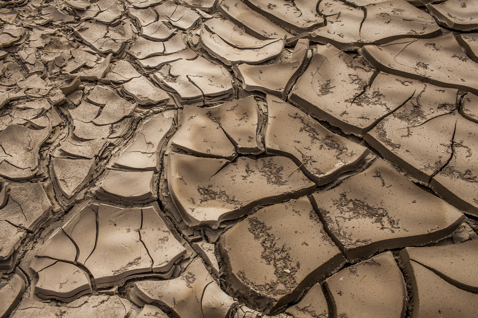 Climate Change in New Mexico
