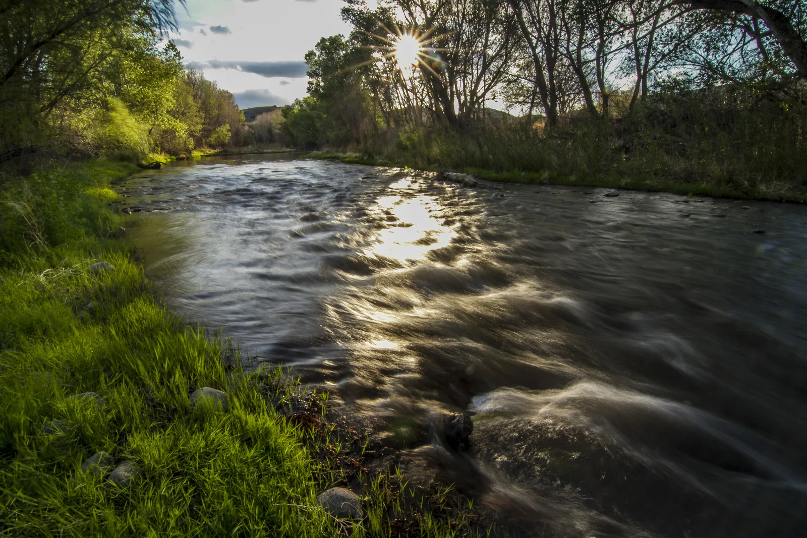 Gila-Mimbres-Headwaters Program