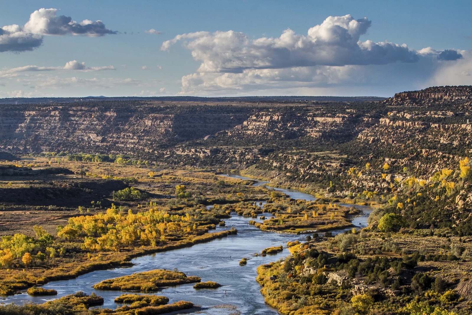 Living Rivers Program