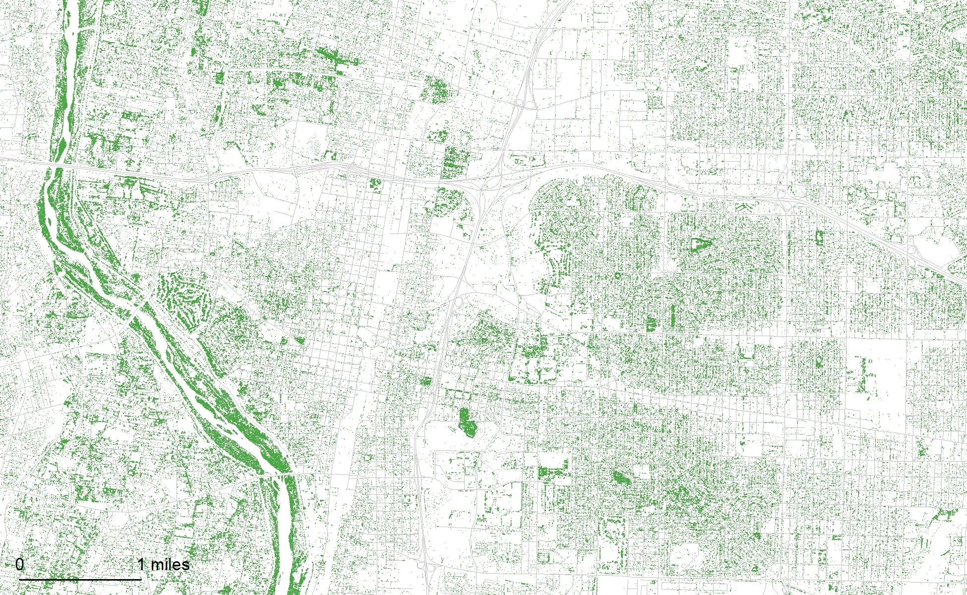 Seeing the City for the Trees: Mapping Albuquerque’s Urban Forest