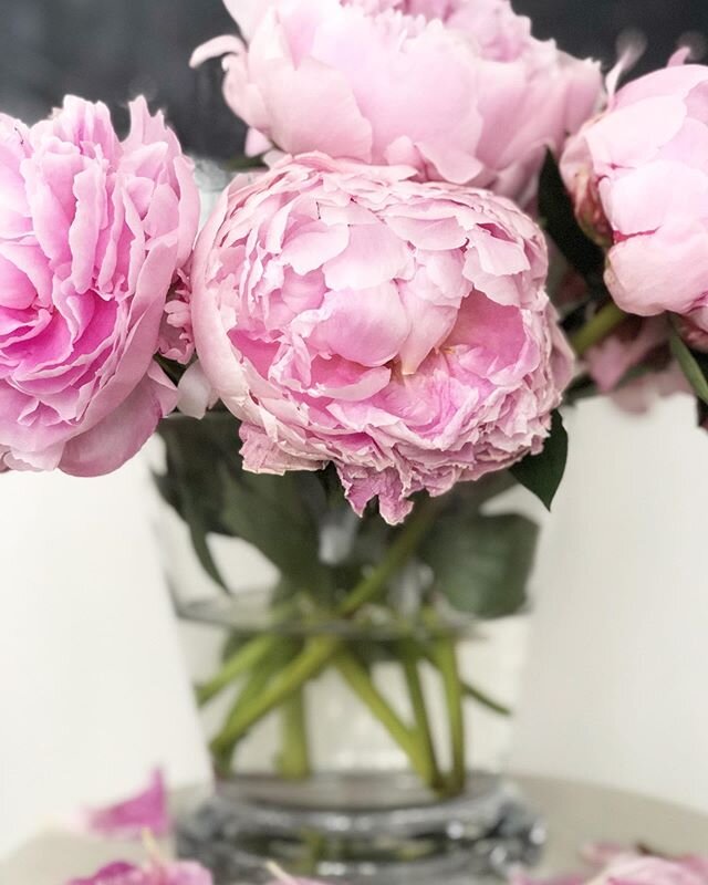 &ldquo;Blessings drop their blossoms all around you.&rdquo; Rumi

Acknowledging the cycle of blessings and sheddings. Nature is our greatest teacher. Ephemeral beauty is temporary and fleeting. Drink it in while it lasts. 
#nature #peonies #bloomsfad