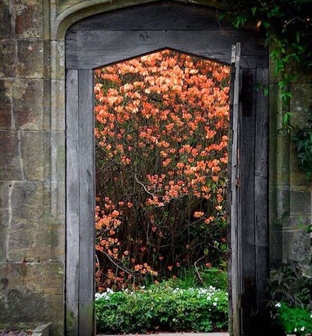 &ldquo;Be an opener of doors.&rdquo; Ralph Waldo Emerson 
And close them when your heart and soul whispers instructions. 
#open #positivity #mood #friday #gardendesign #beauty #inspiration #seekingbeautyalways #peaceful #protectyourpeaceandspirit #tr