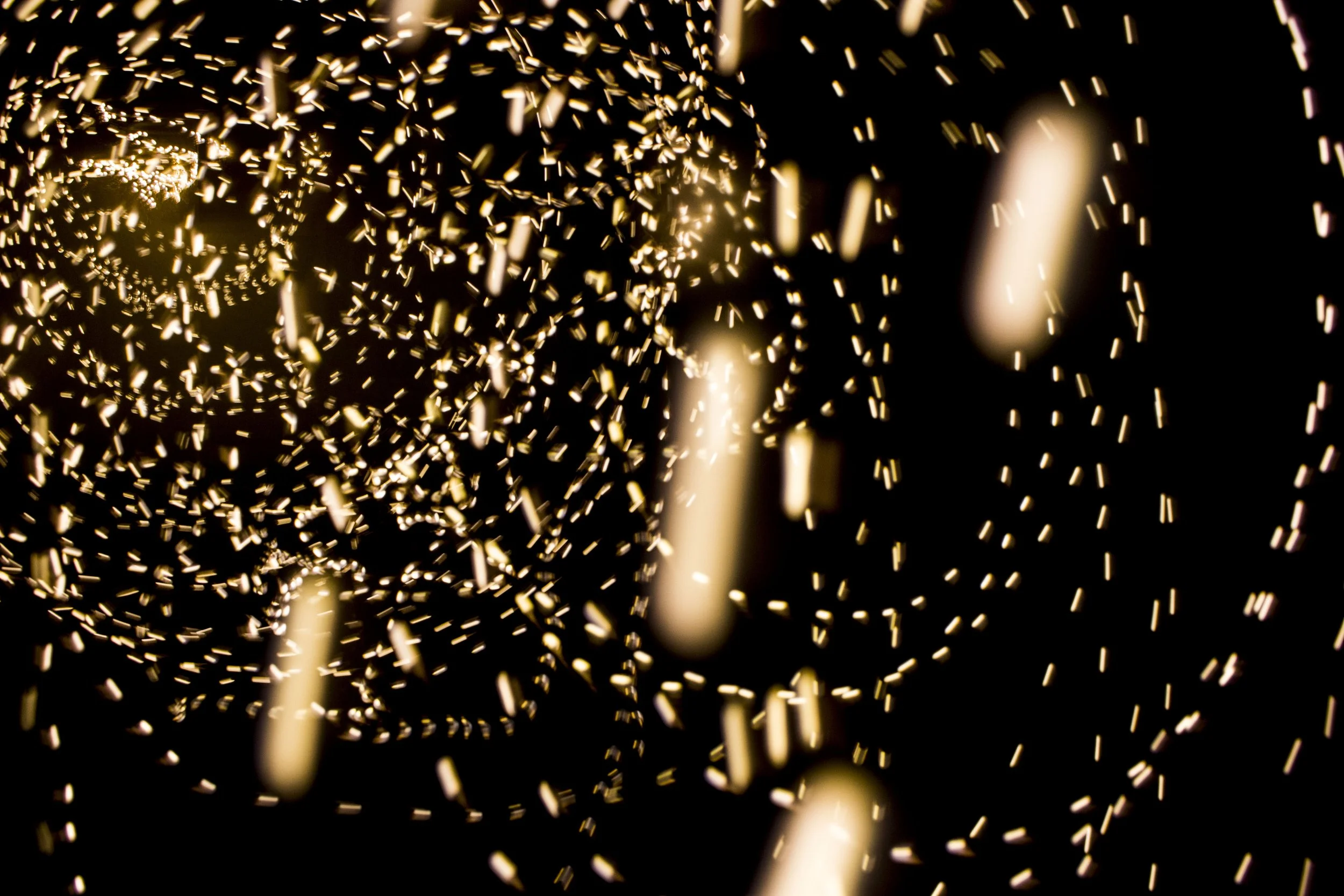 Light 02.jpg