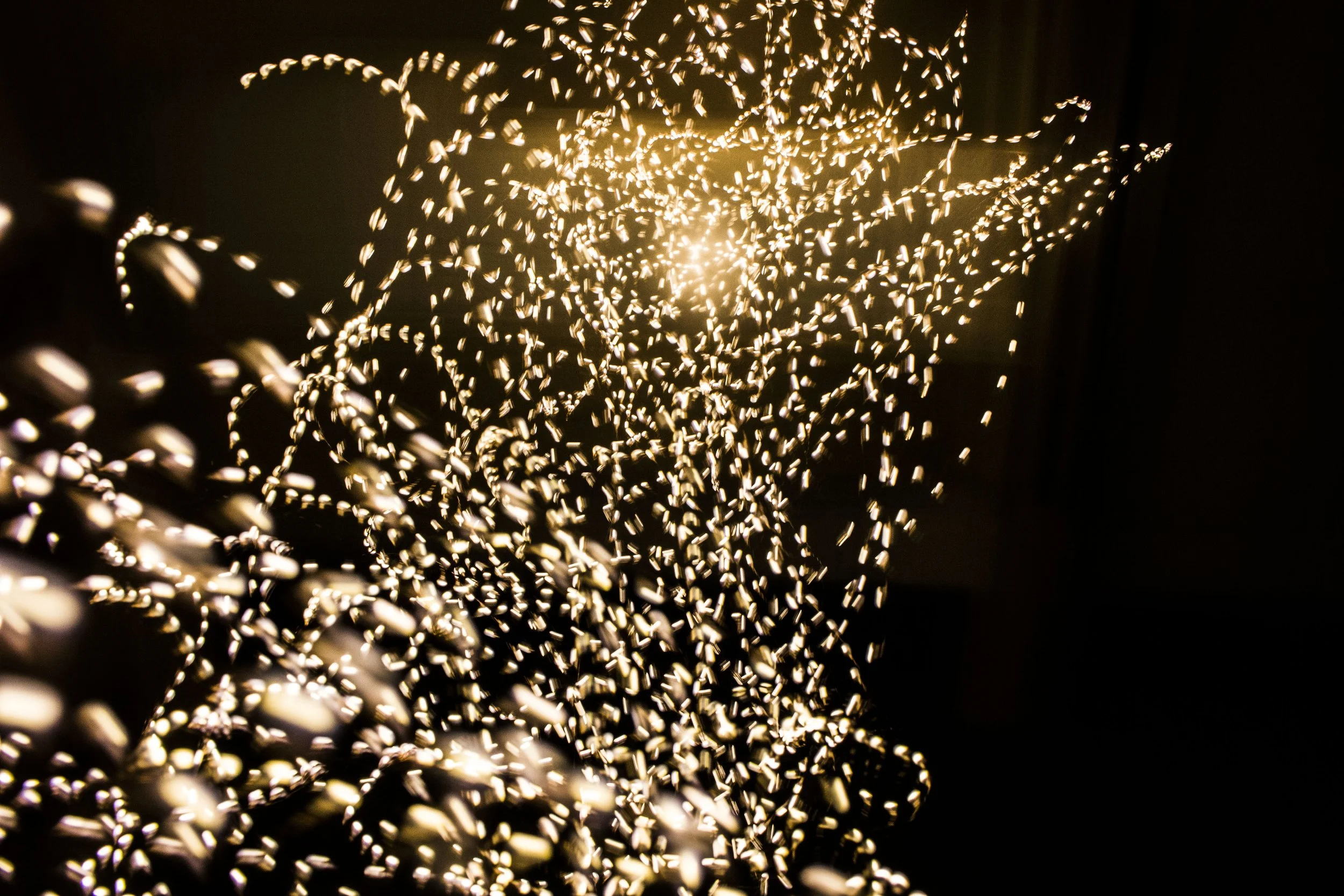 Light 05.jpg