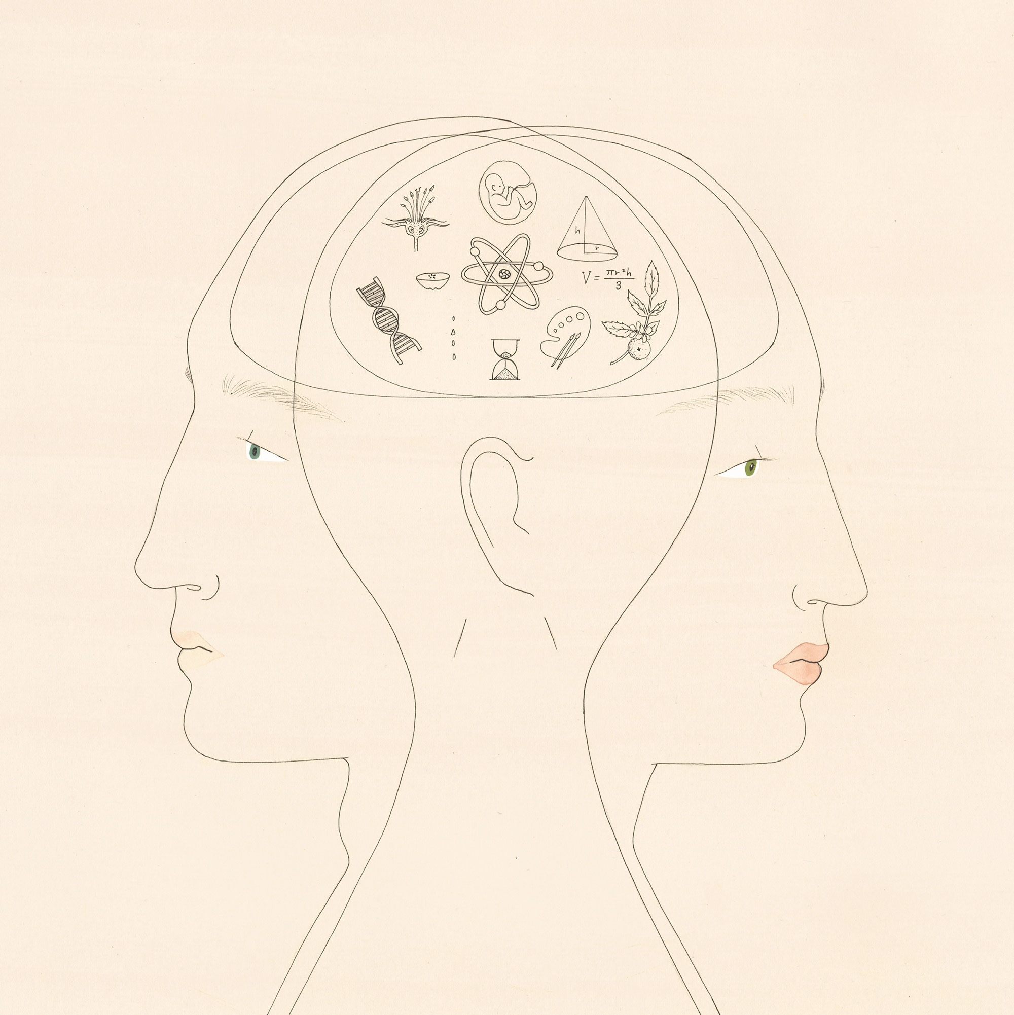 Brain-flat-amends-large-WEB.jpg