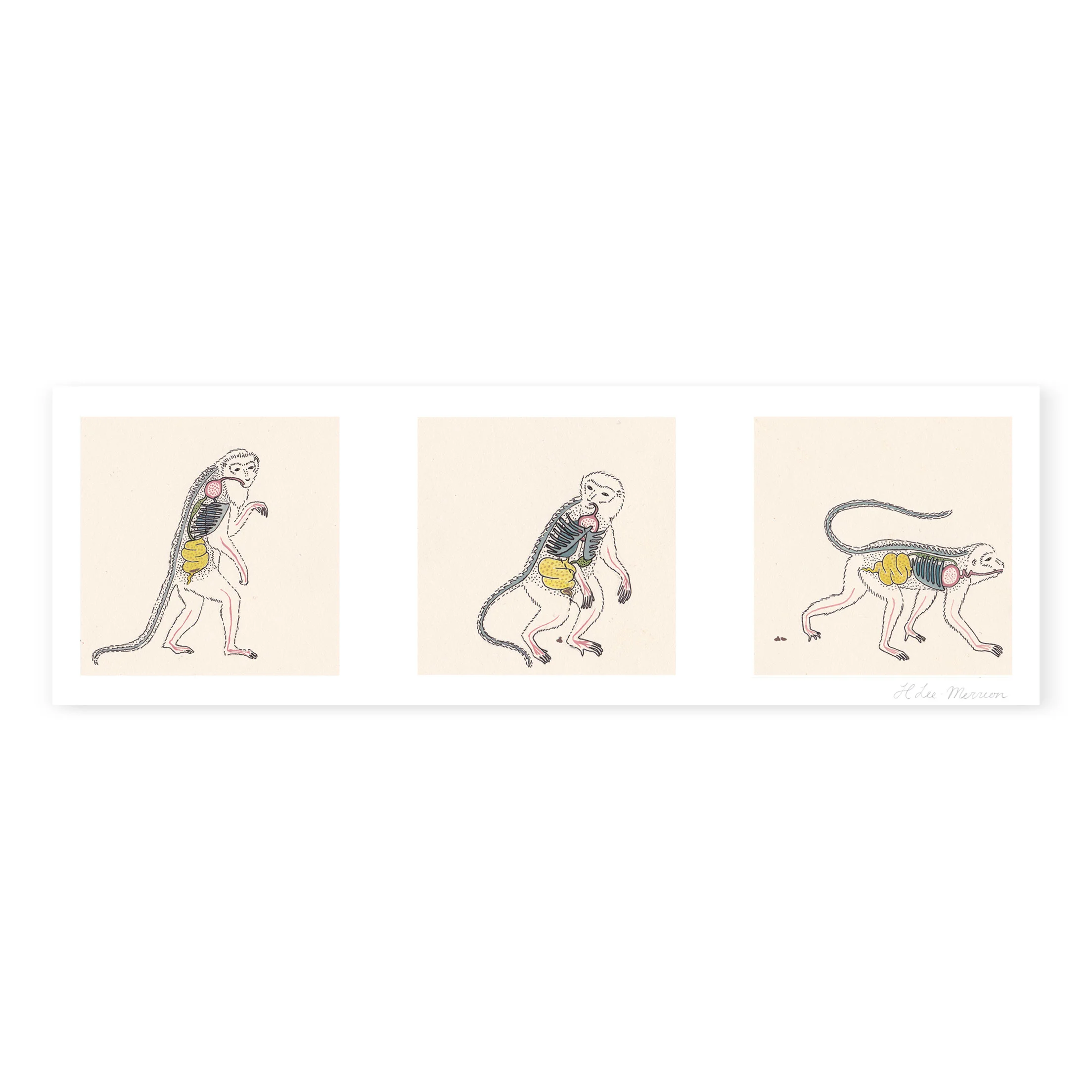 Monkey-print-web.jpg