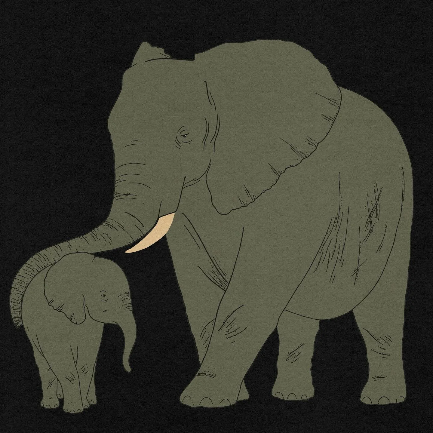 Elephant detail, a small part of a larger animation project for @natgeo last year for an animated title sequence to appear on their nature documentary Queens 🐘
#harrietleemerrion #heartartist #heartartists #ContemporaryIllustration #IllustrationArt