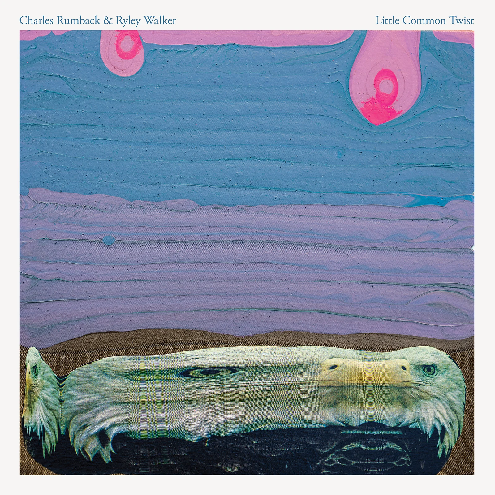 Little Common Twist cover.jpg