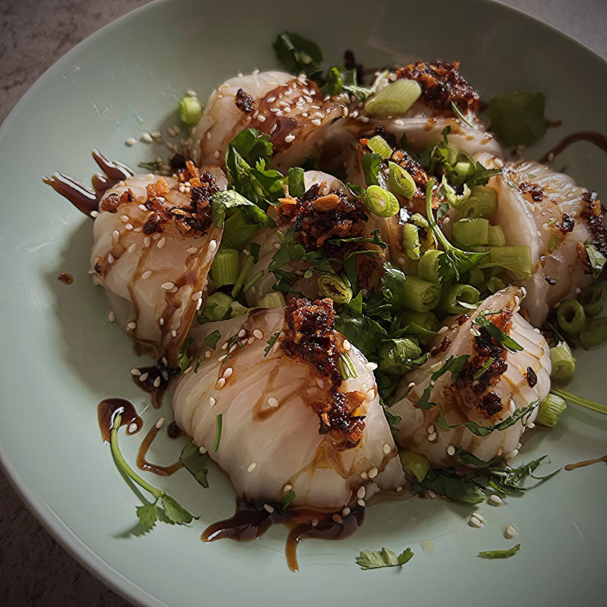 2026-03-29  Dumplings, Hoi Sin sauce, toasted sesame seed oil, sesame seeds, garlic & chilli oil, green onions & coriander.jpg