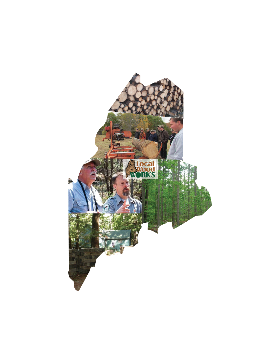 A Long Term Approach to Forest Management