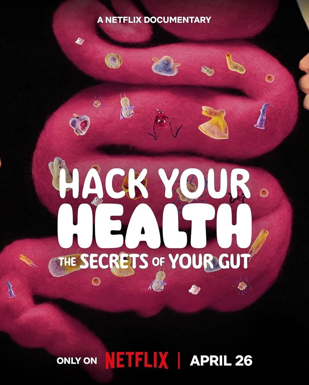 Hack Your Health nominated for 4 Emmy awards!