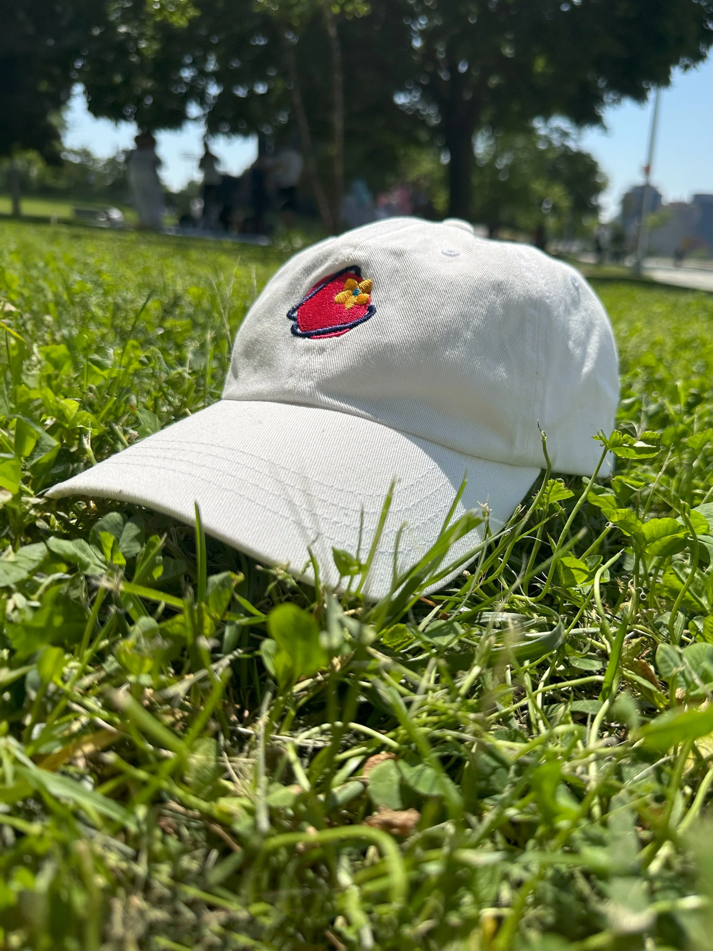 Cap in Park Edited.jpg