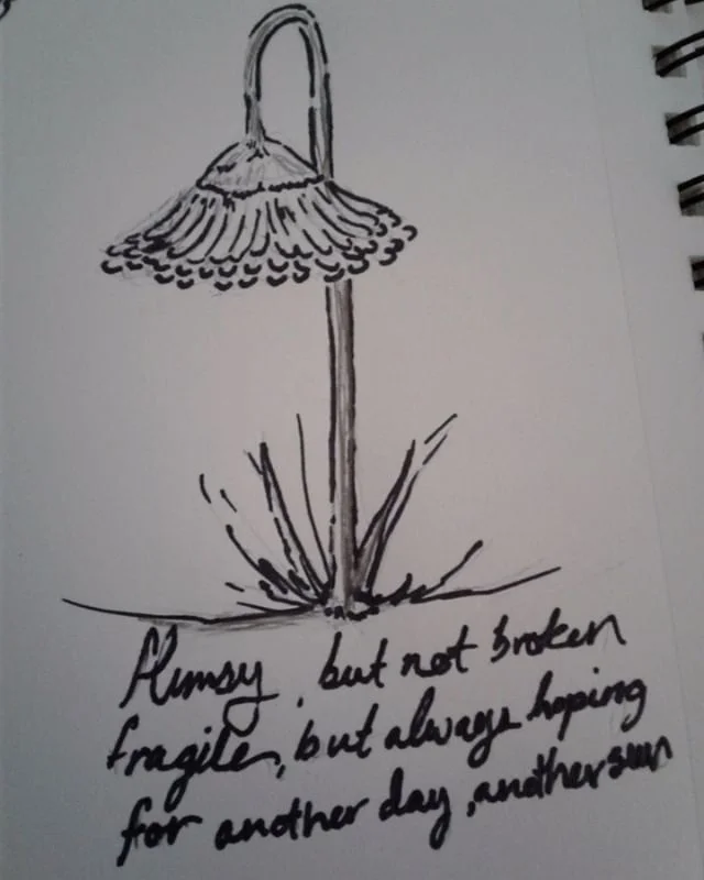 Flimsy, but not broken 
Fragile, but always hoping
For another day, another sun
#releasetuesday #doodling #pendrawing #sharpieandpencil
