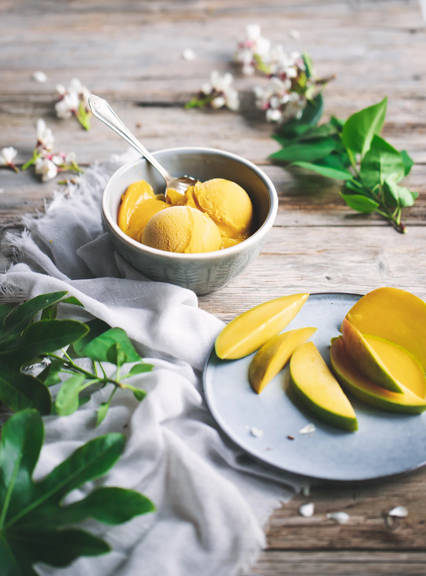 Mango9.jpg