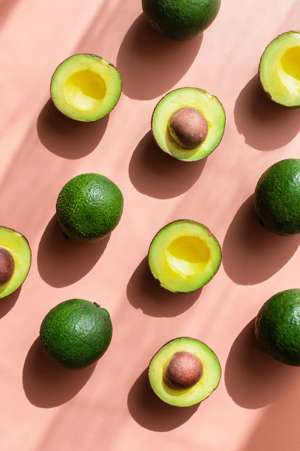 The Avo Tree