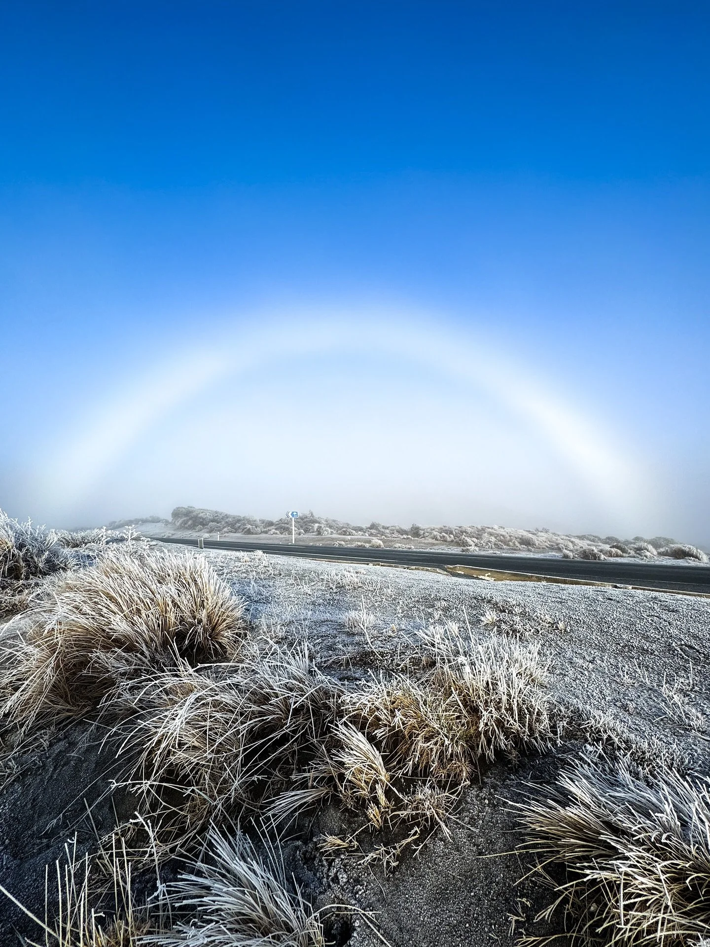 Early on Saturday morning just as the sun came up we were driving through the Desert Road. It was a stunning bluebird morning and the maunga was looking majestic. As we were driving however we started coming closer to a big wall of fog, and then all 