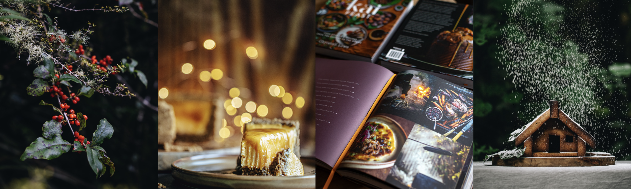 food photography banner