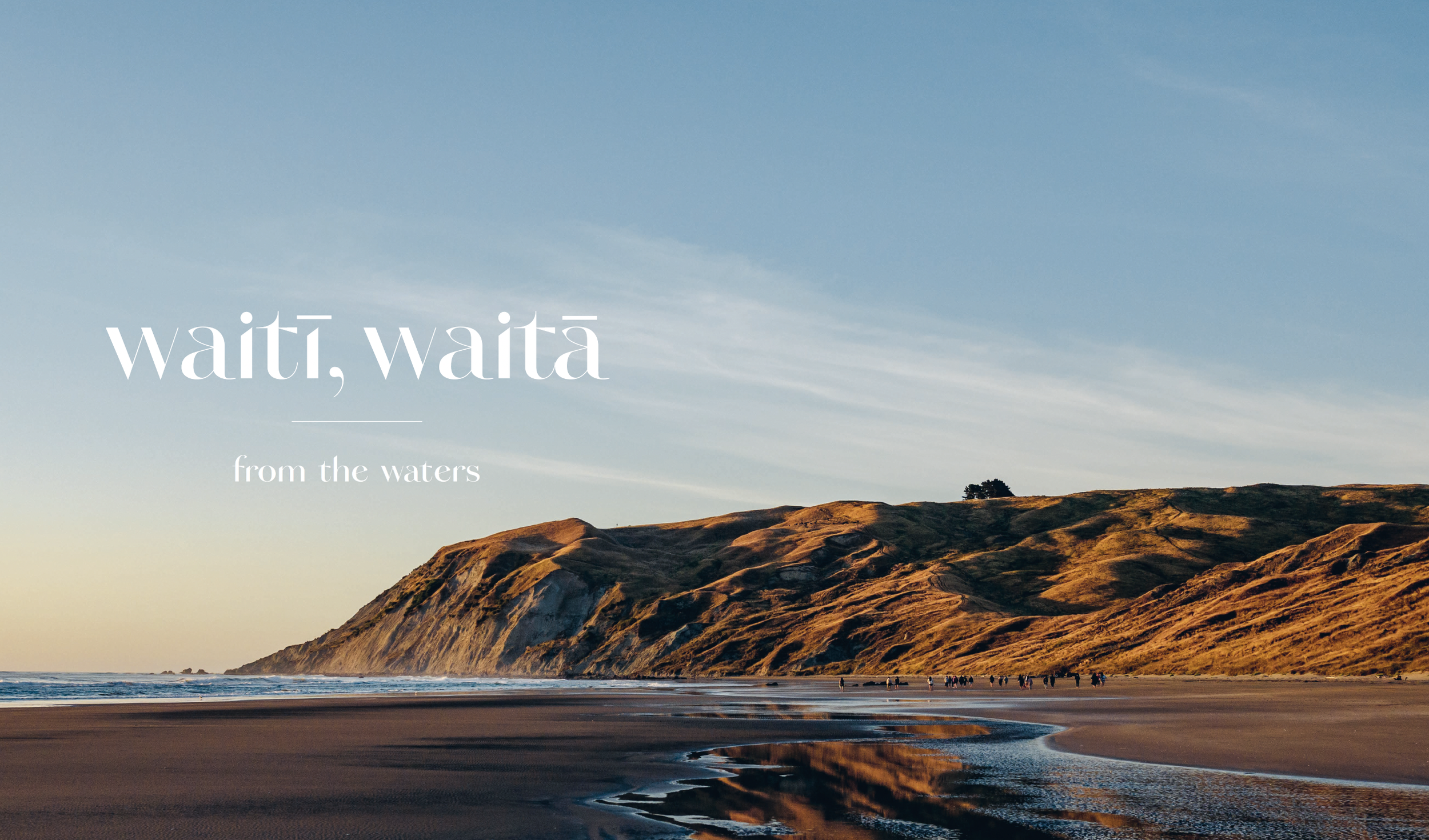 Screenshot 2026-03-30 at 10.03.32 AM.png