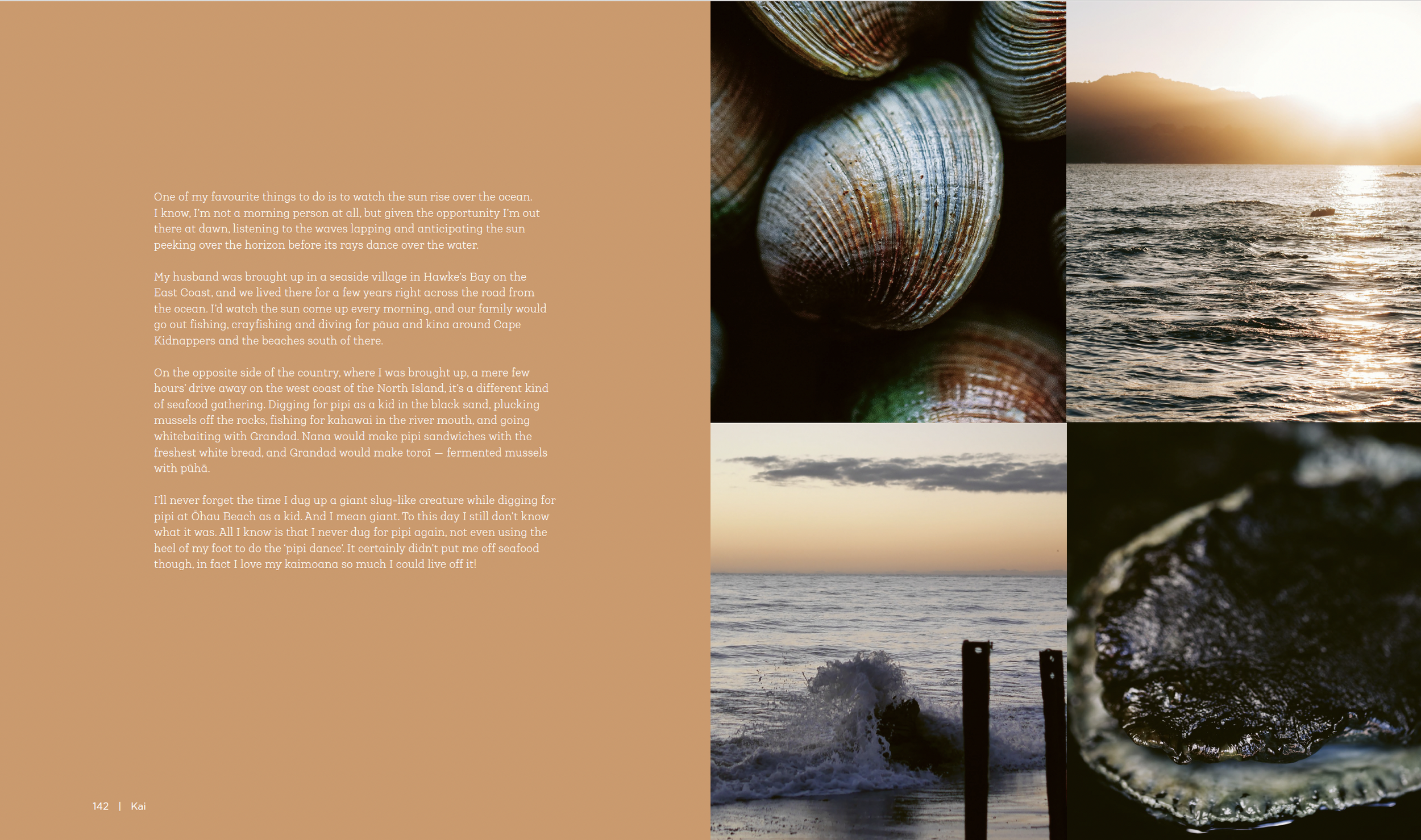 Screenshot 2026-03-30 at 10.24.23 AM.png