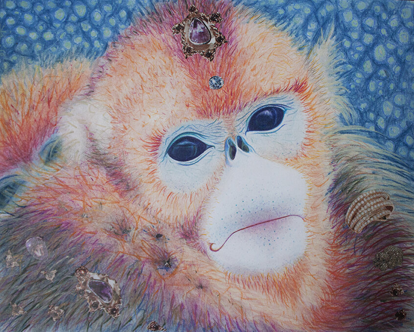 Precious The Snub Nosed Monkey