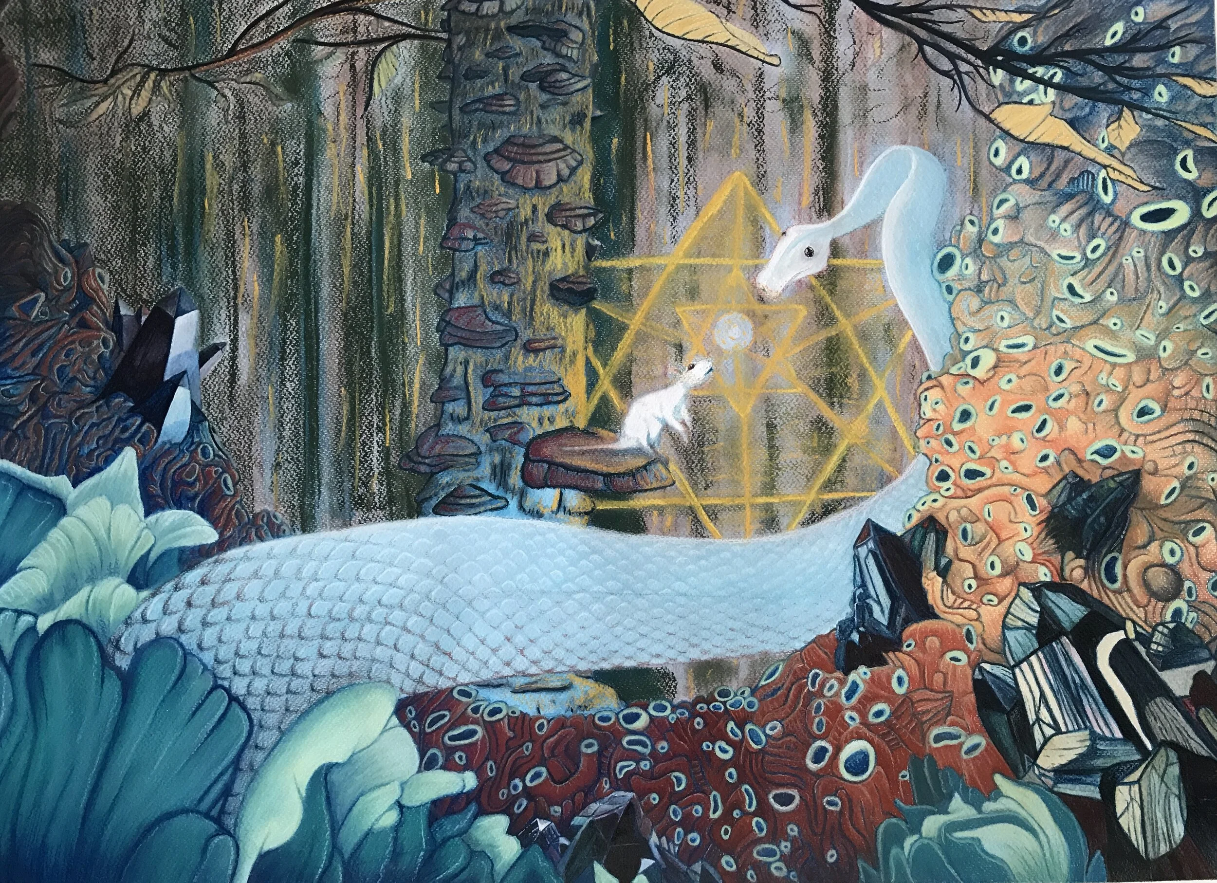 Light Recognizes Light (2017)