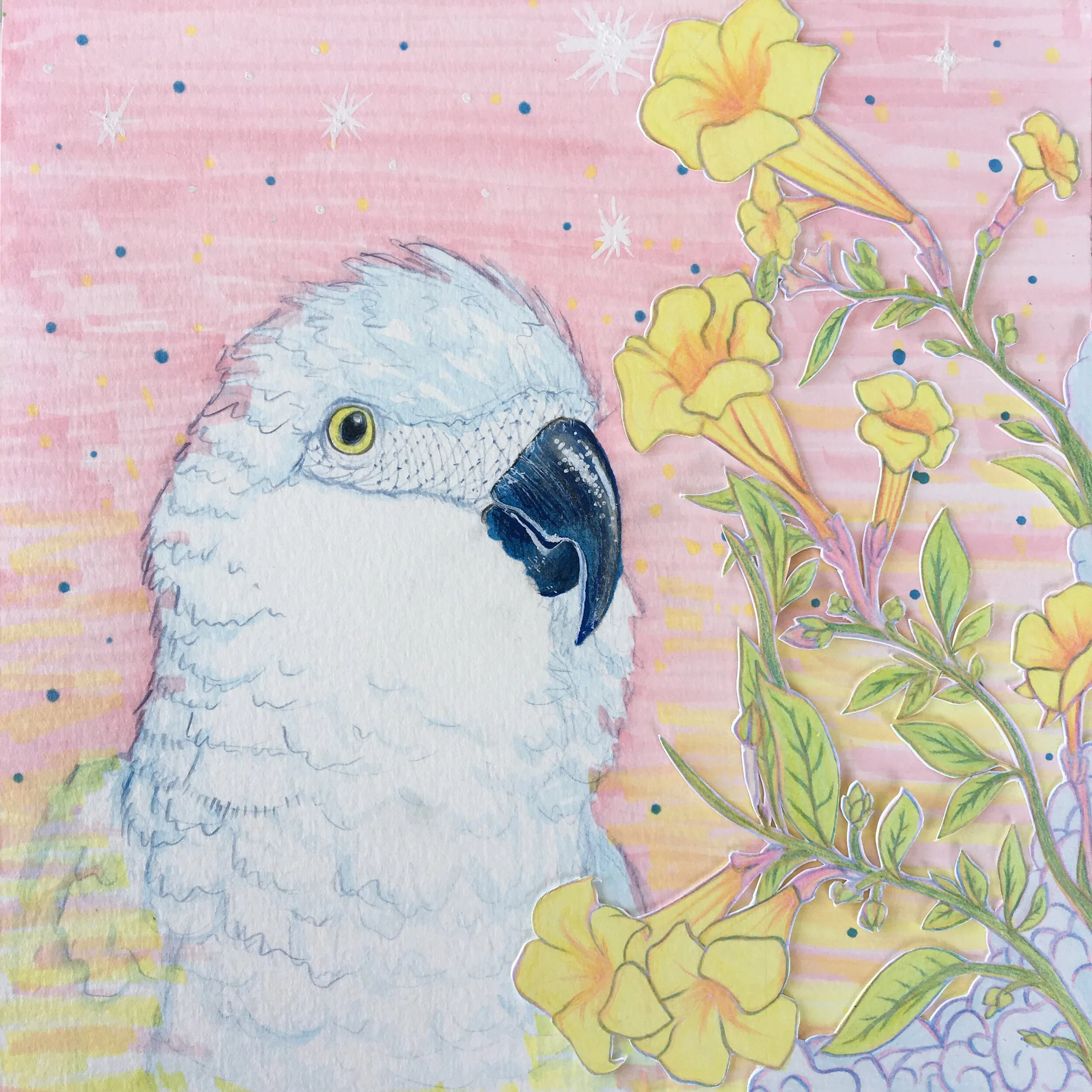 Ararinha Com Caraiba (2018)