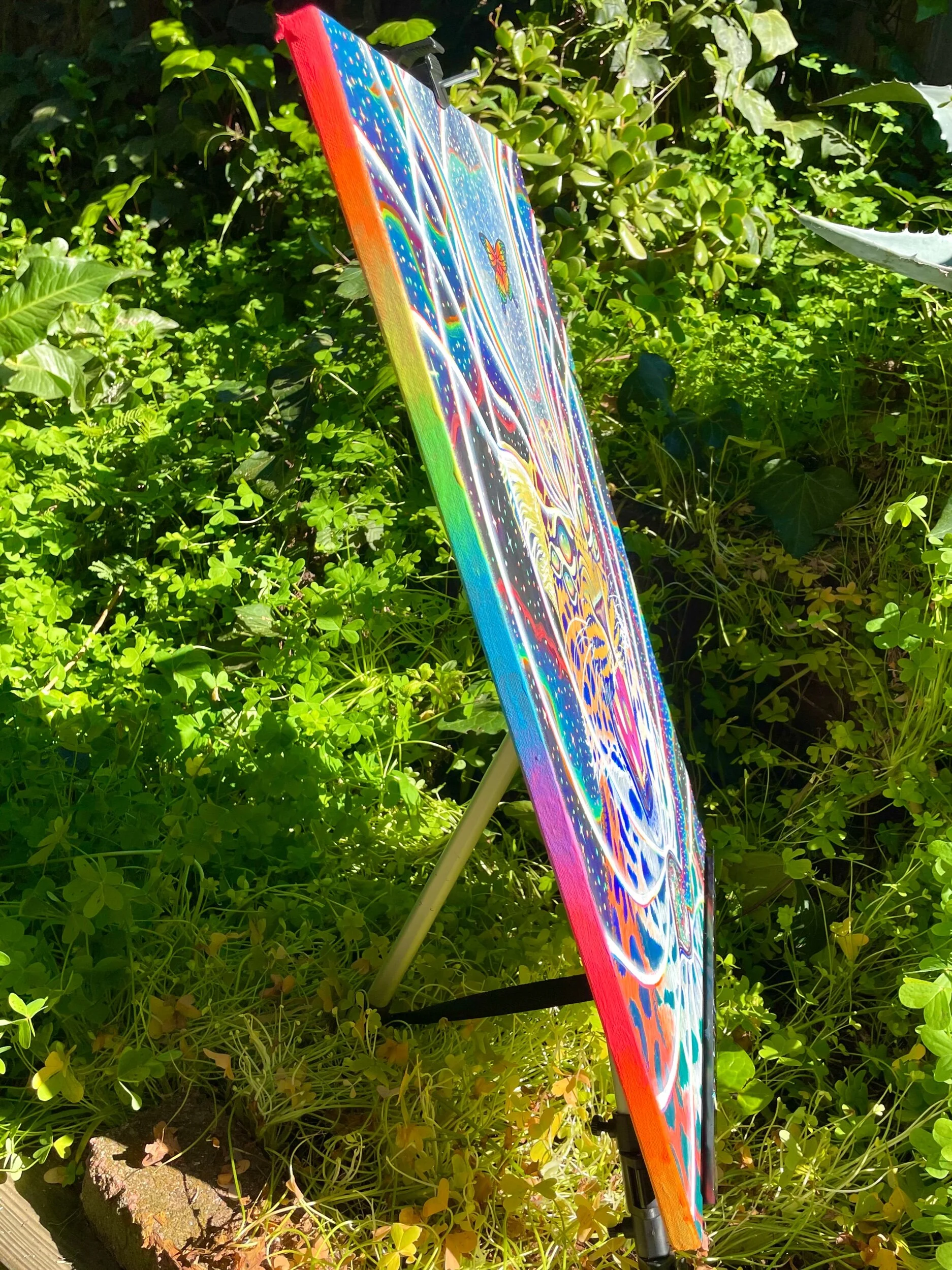 0C5EA010-A417-4202-B764-F33BFE44F508