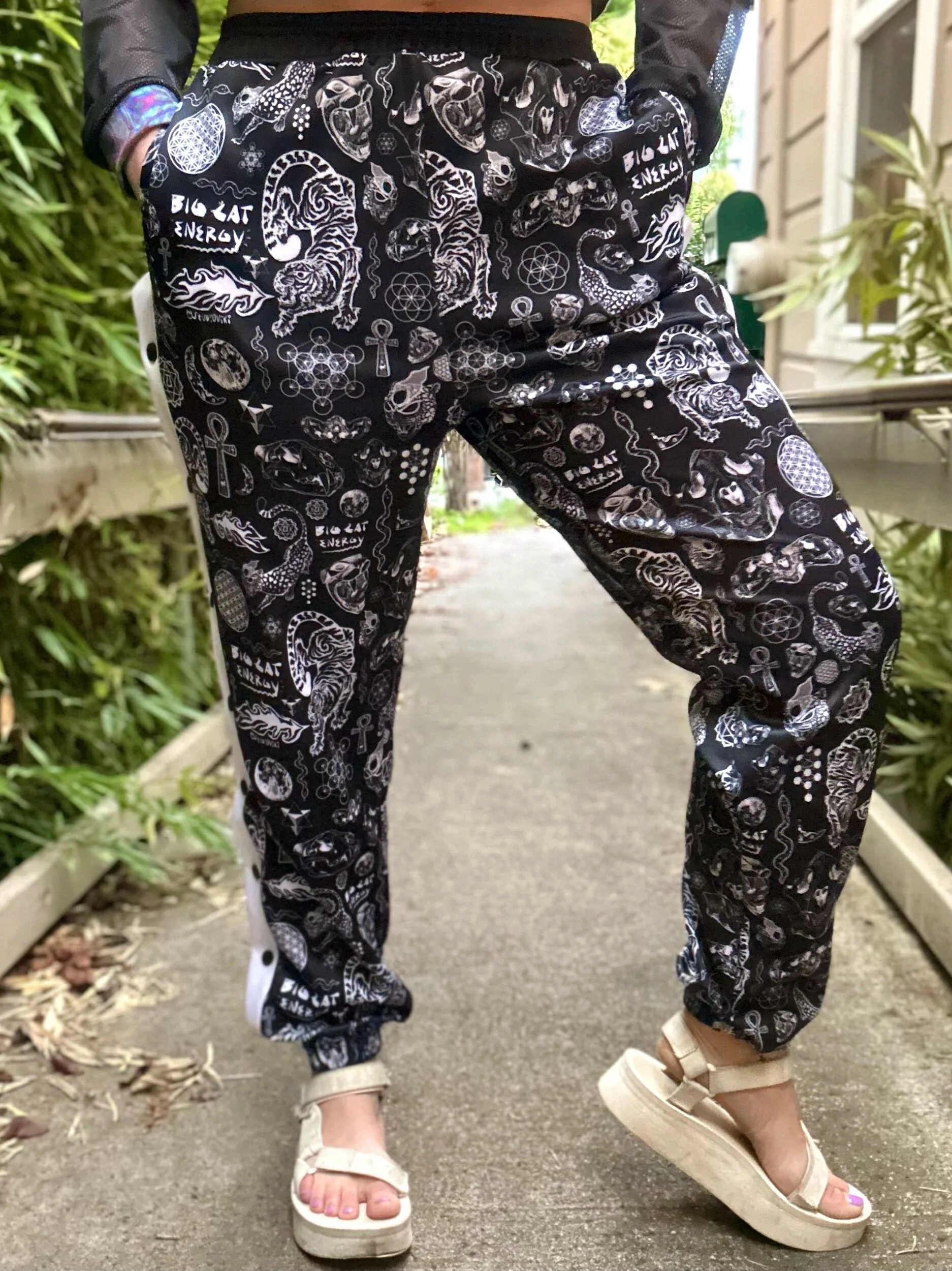 312A4902-9A0D-4FF7-A0D4-085BBF3DD663