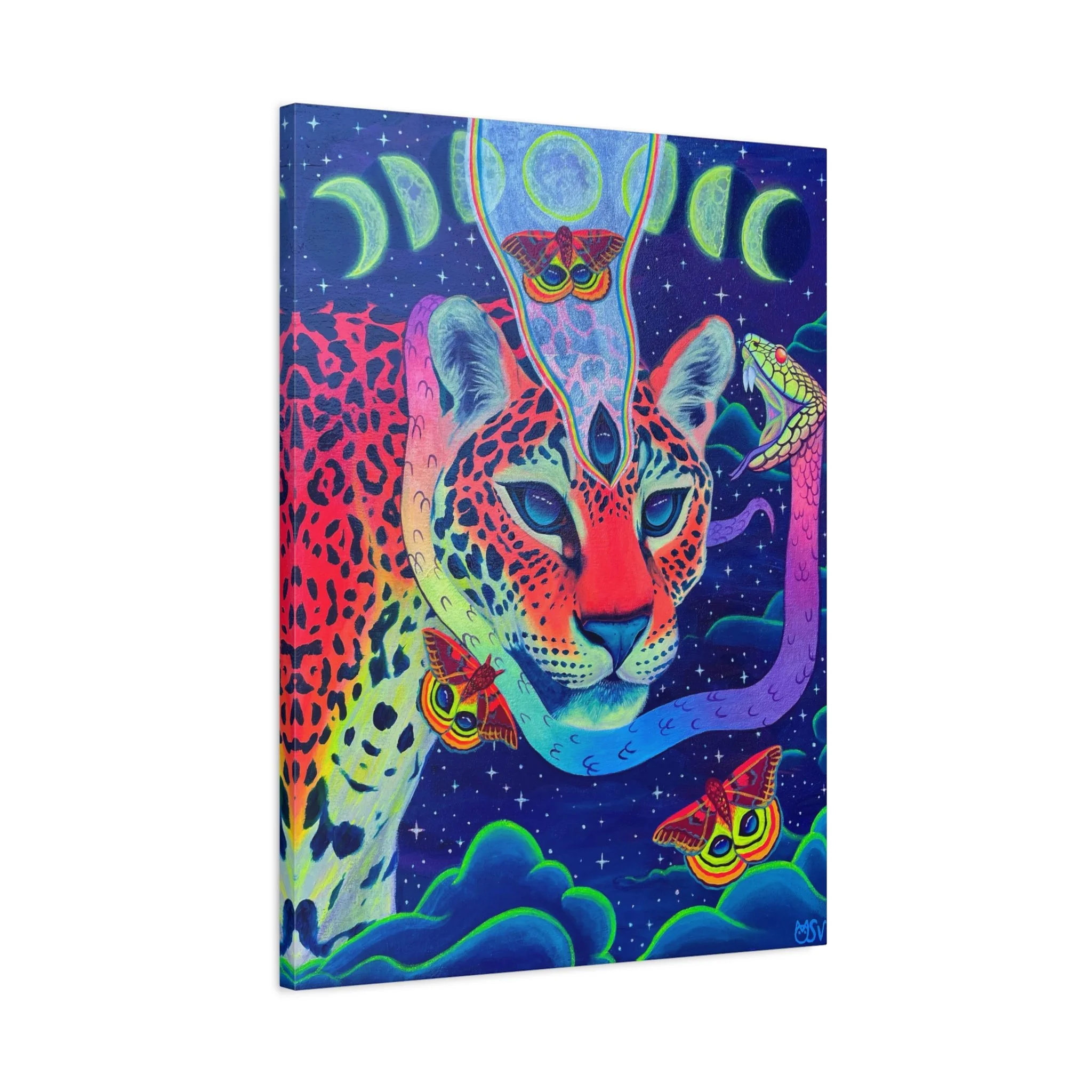 8000c6cd15d6ac1719541eaca7963da9