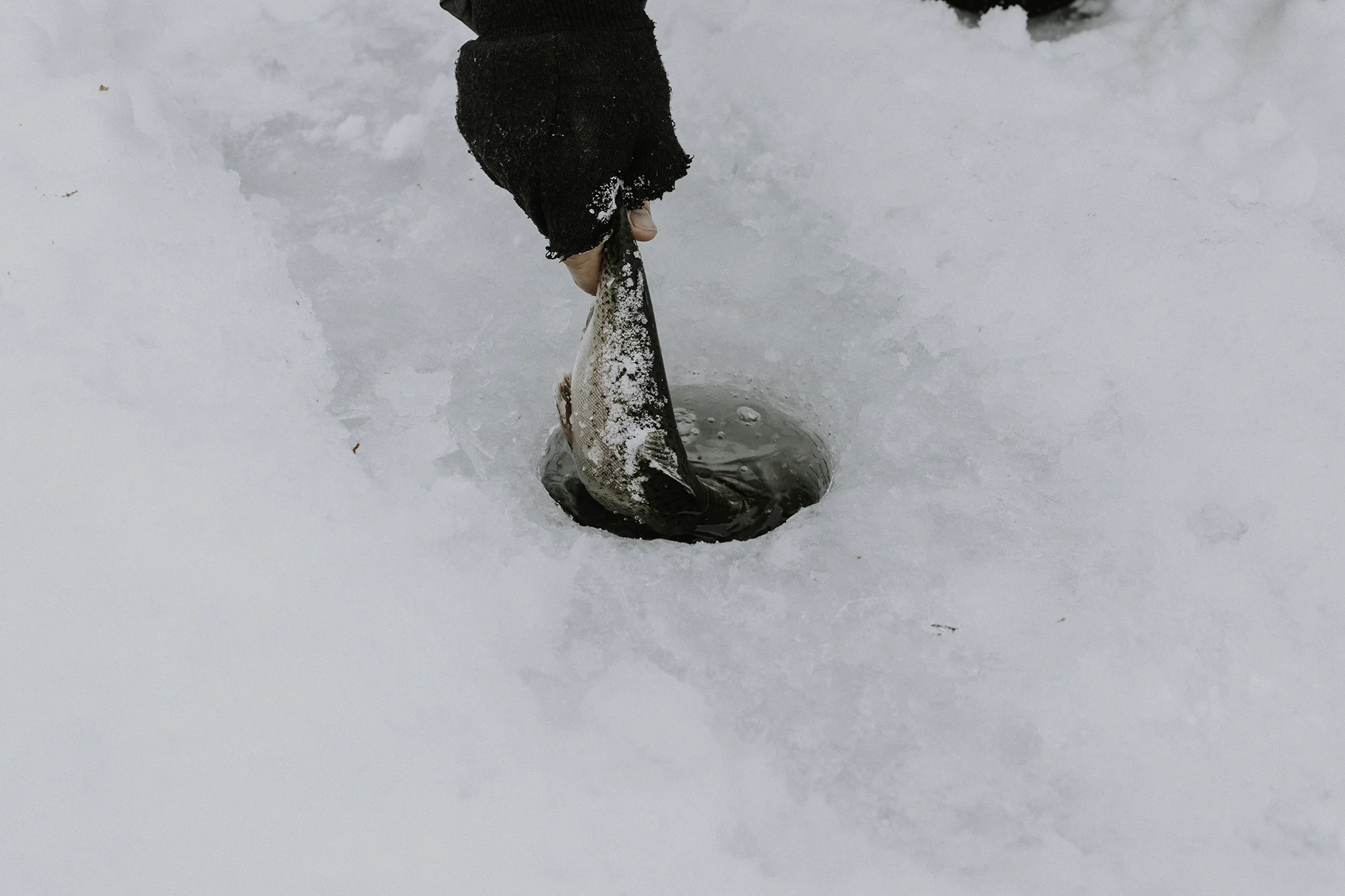 Ice Fishing (10 of 32).jpg