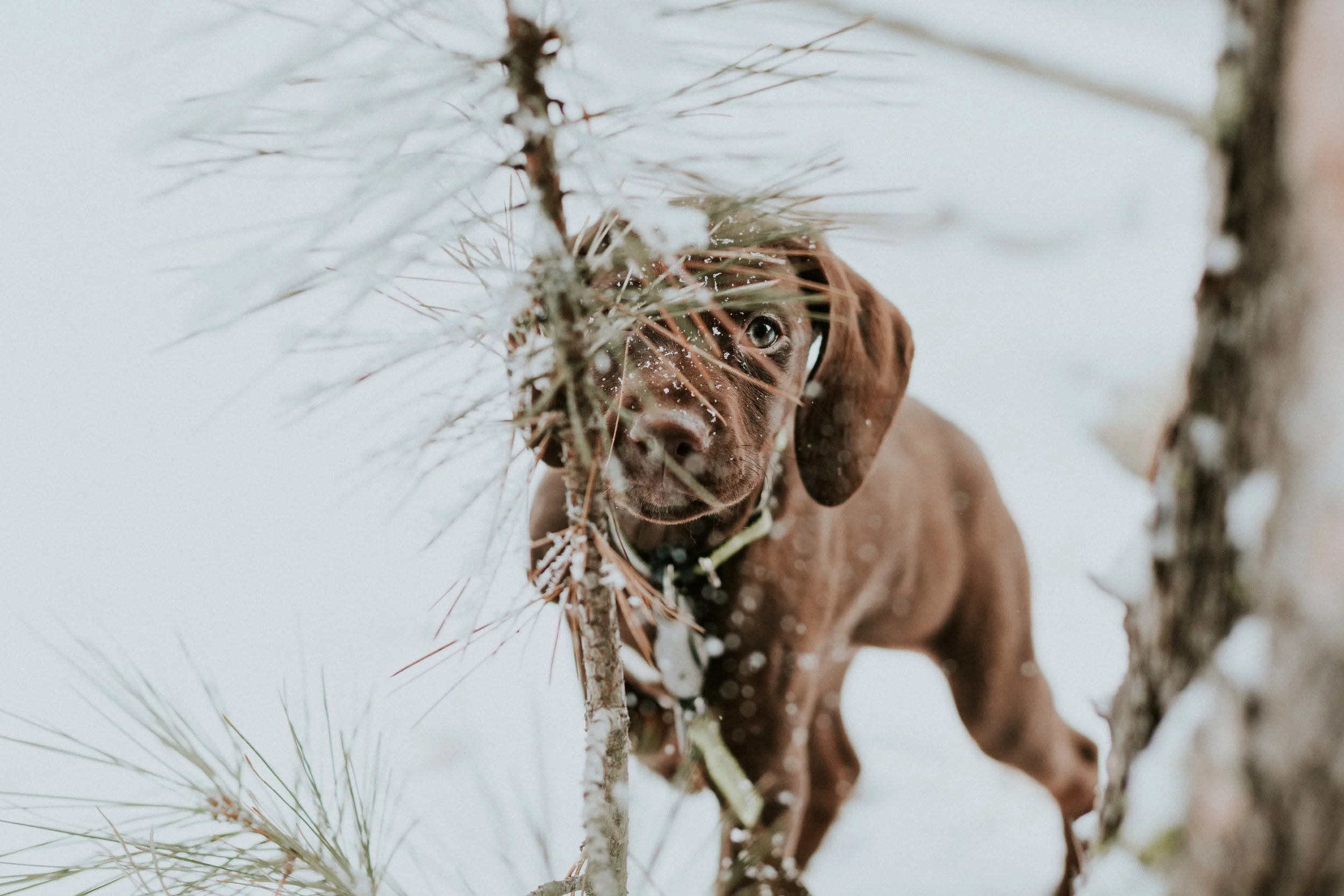 BRIDGER 2019 (5 of 3).jpg