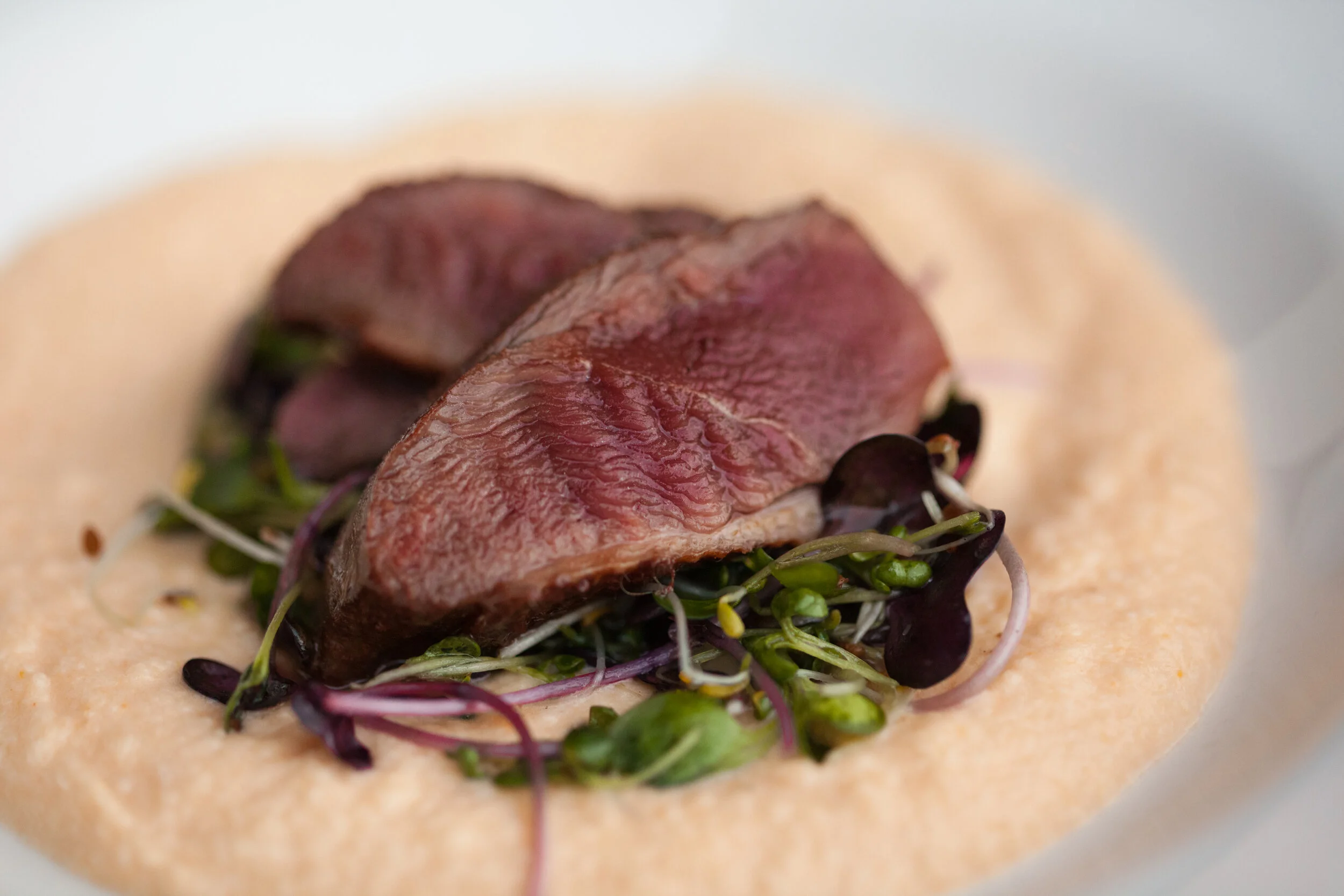 untitled (118 of 136).jpg