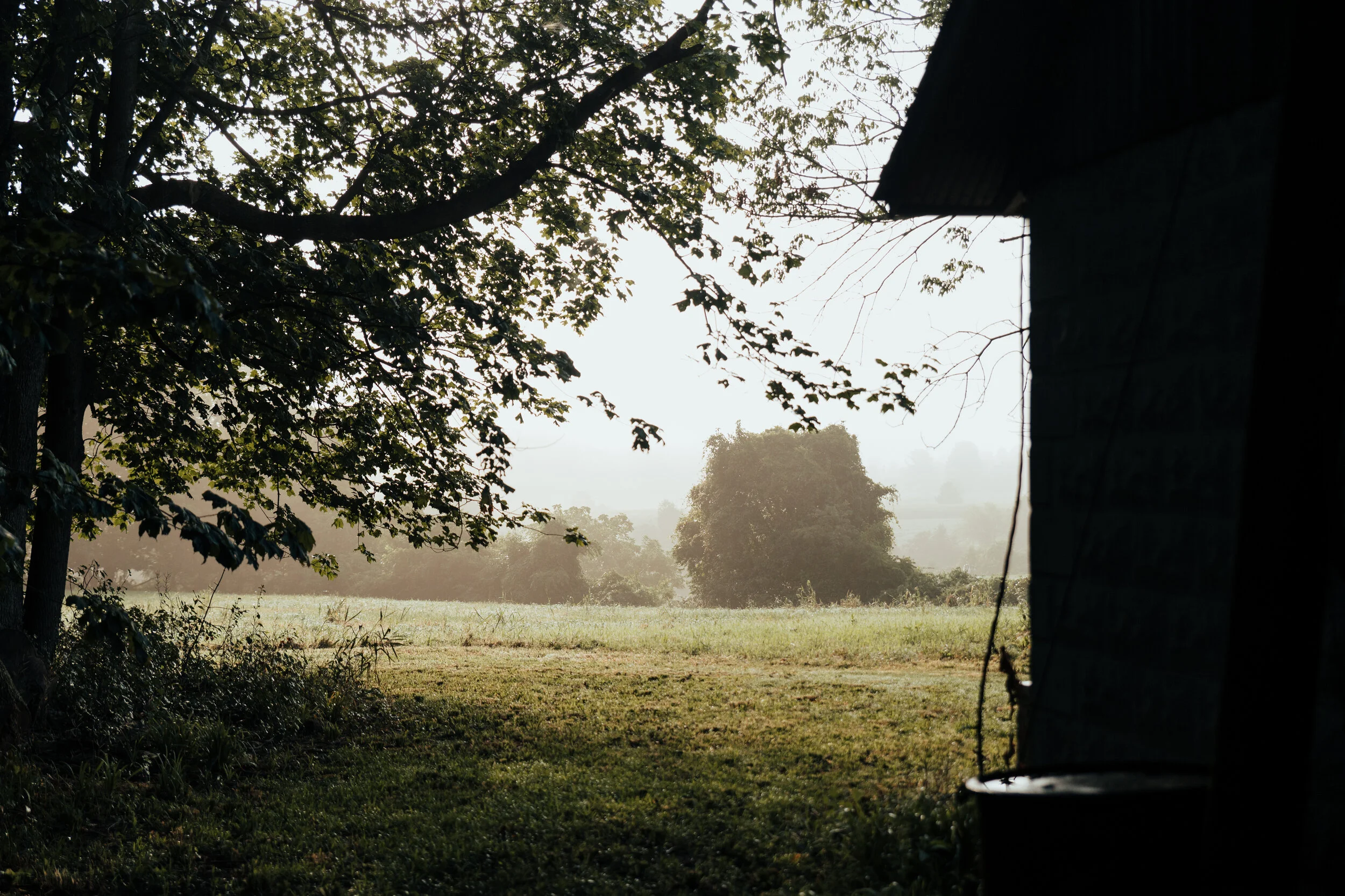 butchering day (19 of 27).jpg