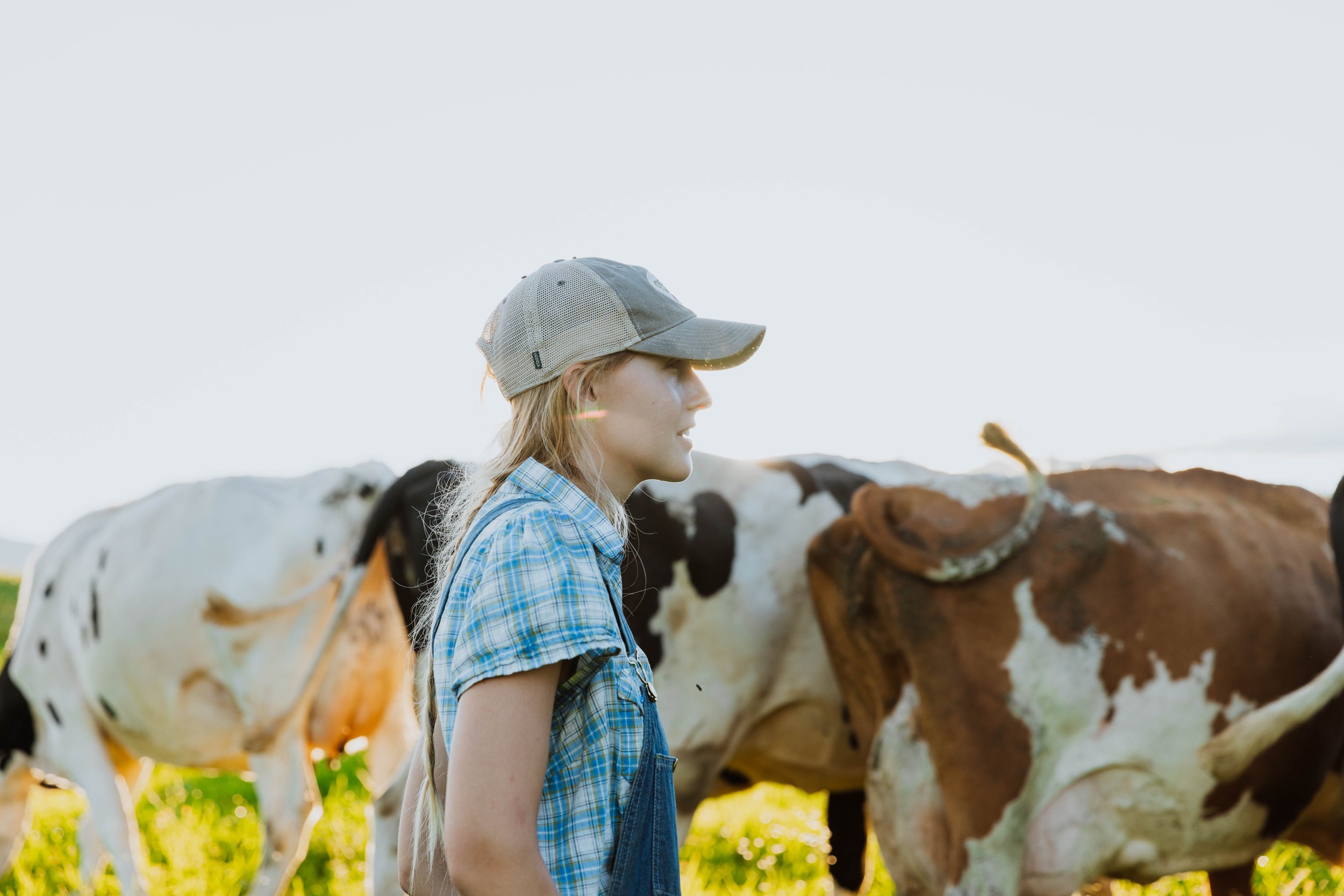 The Rooney Farm_Morrisville_VT_2022_OV-7047.jpg