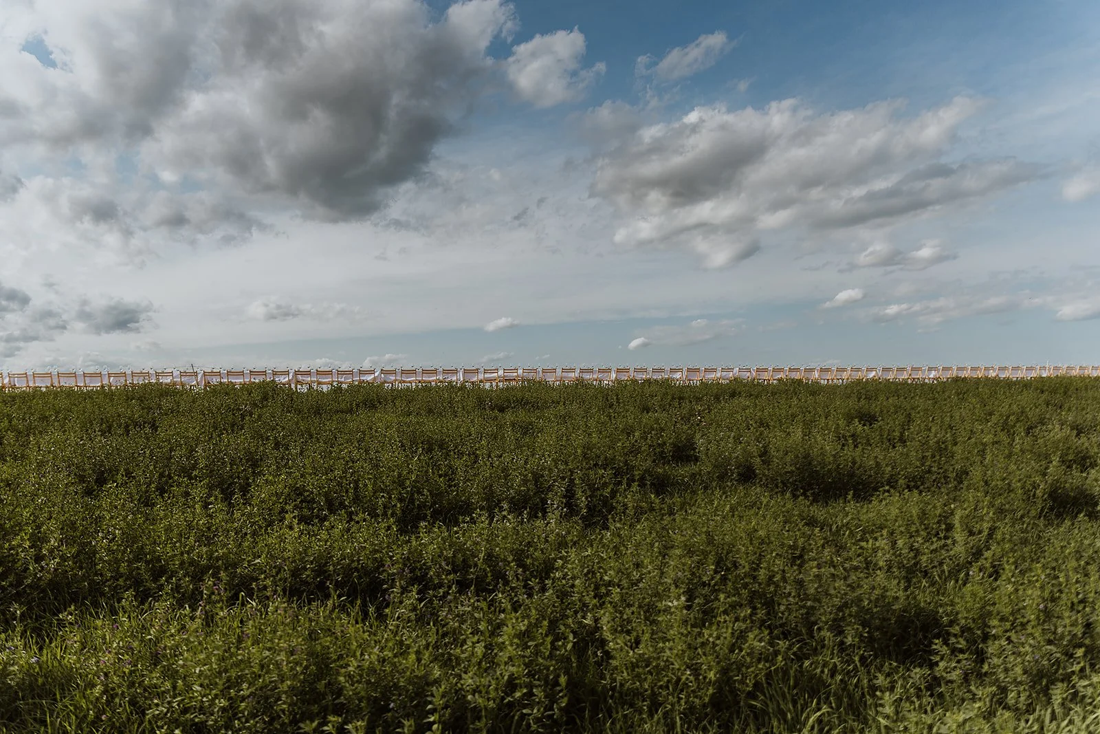 OITF-UplandCheese-36.jpg