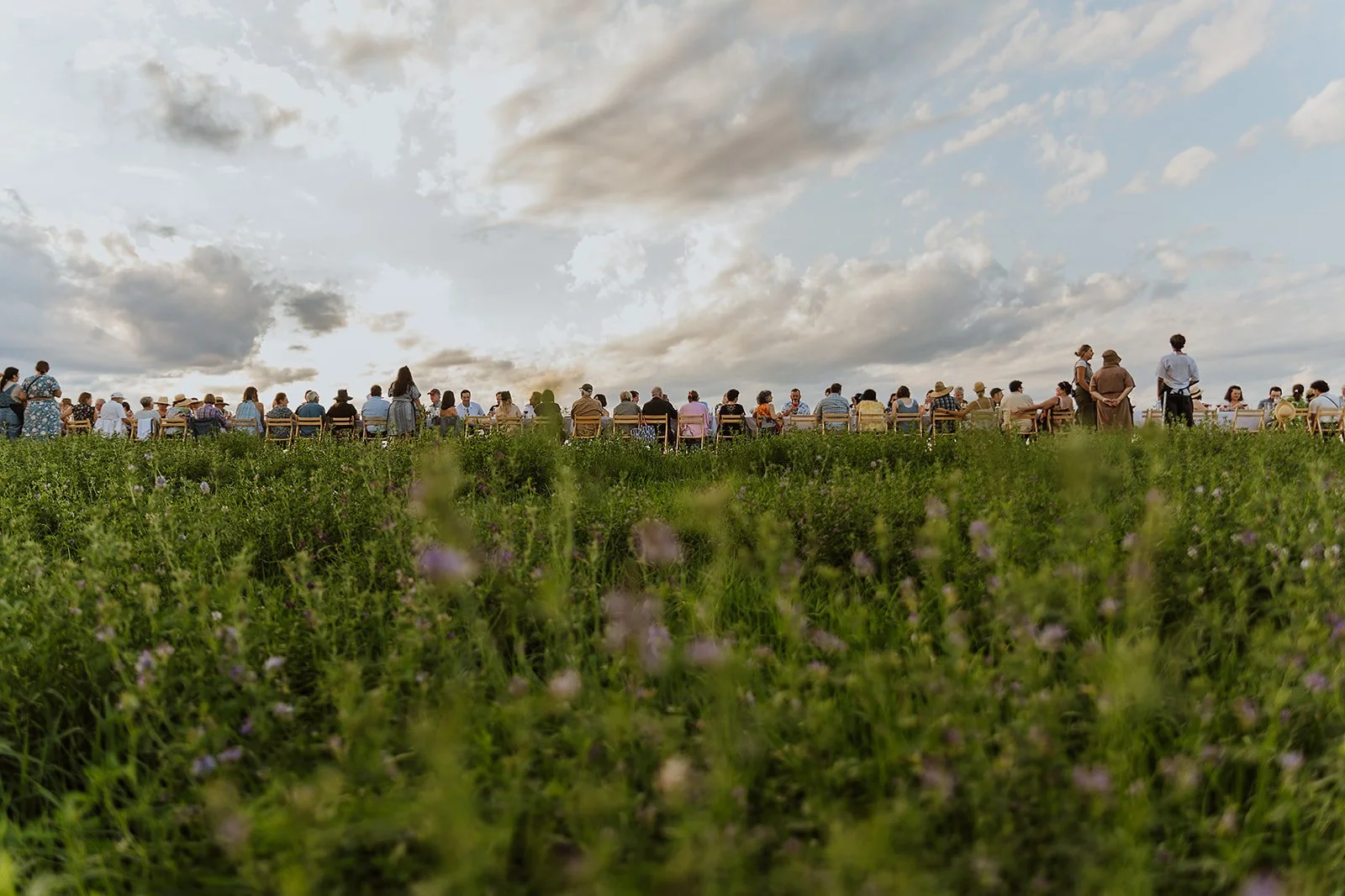 OITF-UplandCheese-117.jpg