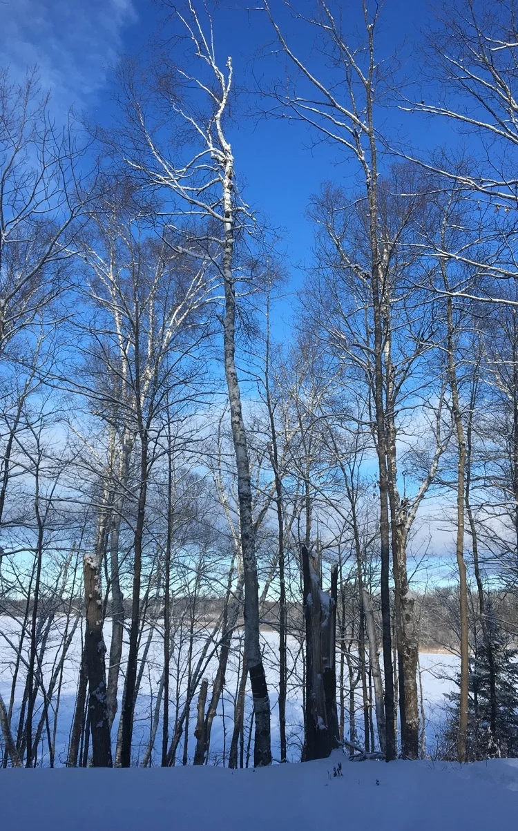 Winter views from our family cabin in Cohasset, Minnesota.