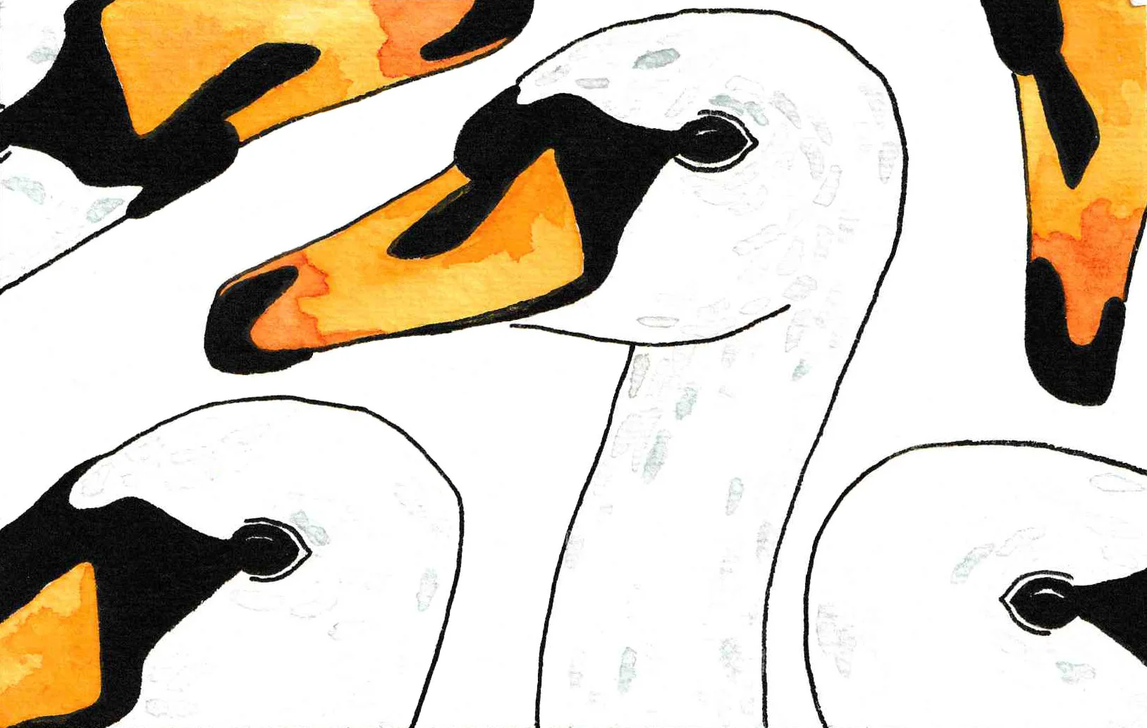WatercolorExample_02_Edit copy.jpg