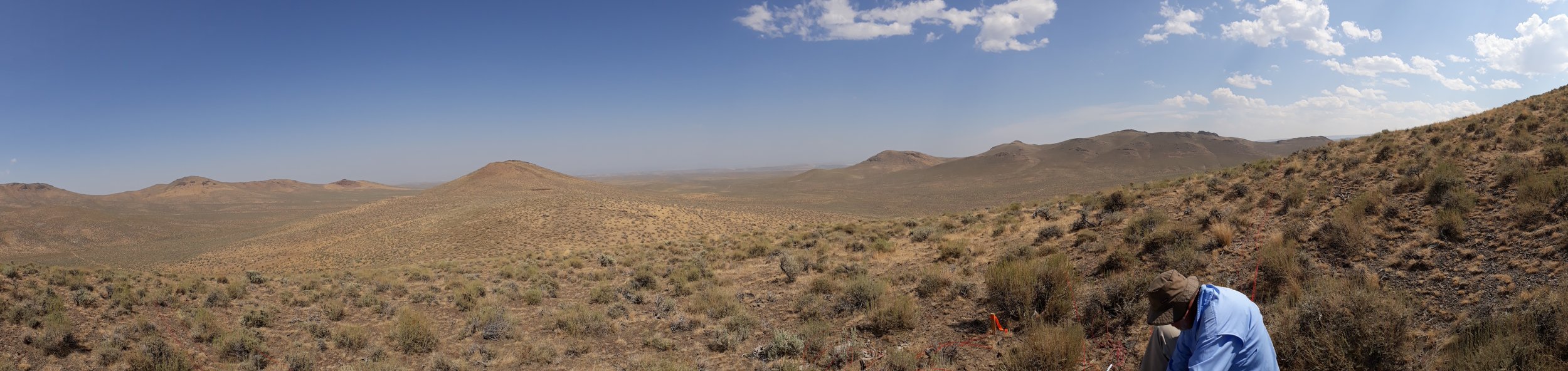  Mineral, Geothermal, Oil &amp; Gas exploration services 