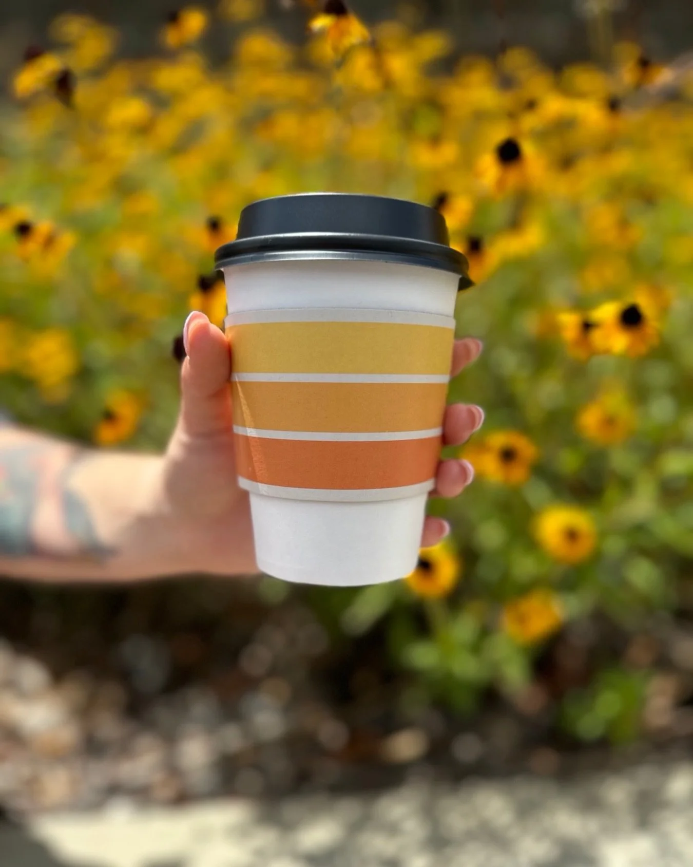 guys our brew tower literally ✨ exploded ✨ so we&rsquo;re gonna be running americanos instead of drip tomorrow (Tuesday 2/3) til we get this sorted out!! trying to be back online with drip before Wednesday for the #midweektweak 🤪 but we&rsquo;ll kee