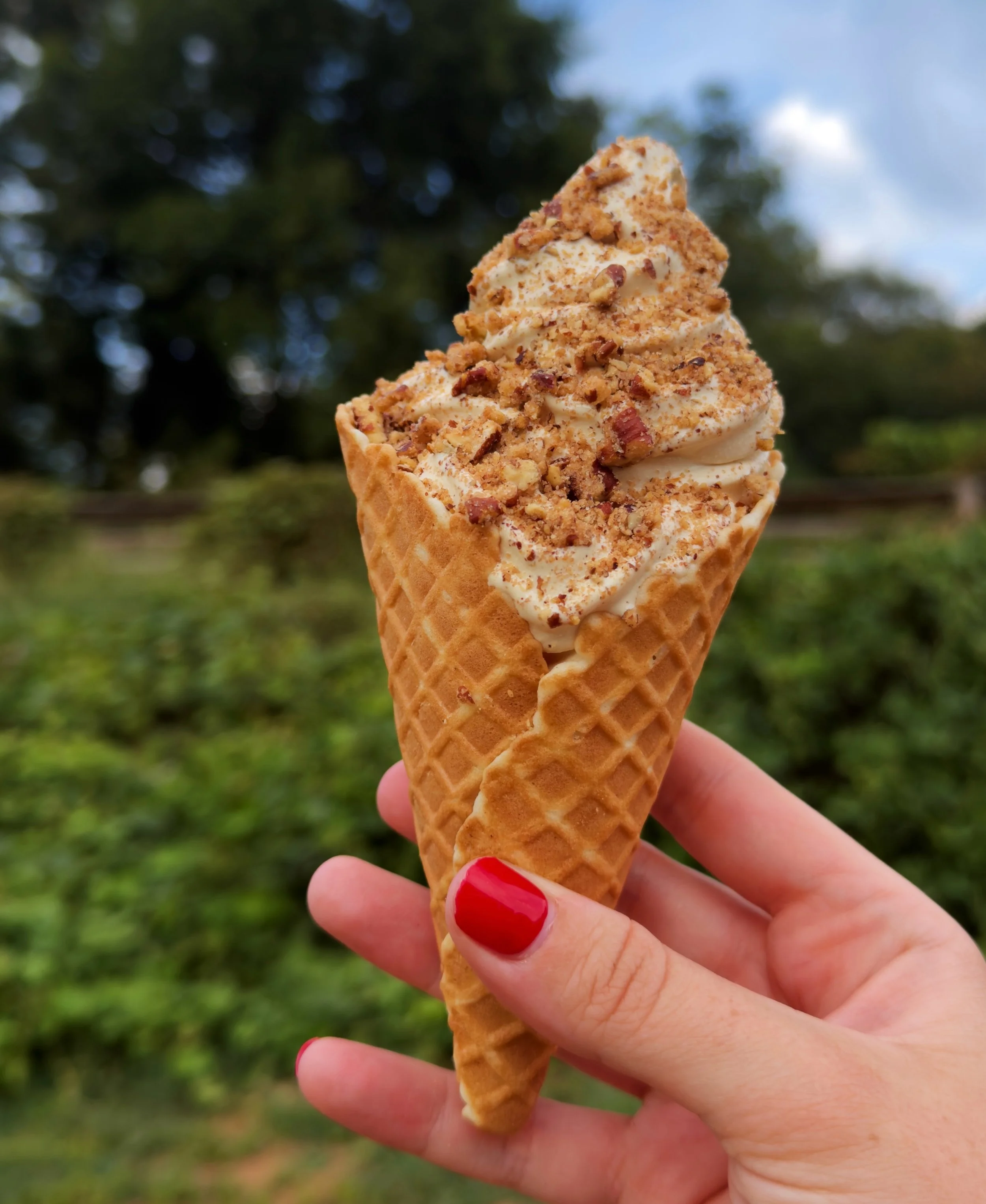 don&rsquo;t leave the🍦 swirls 🍦 in the summer!! we&rsquo;ve engineered a Proprietary Fall Soft Serve Flavor&trade;️ for you to vibe with allllll fake fall + real fall long. 

INTRODUCING 

🥁🥁🥁

CARAMEL SOFT SERVE 
+ add on candied pecans for a f