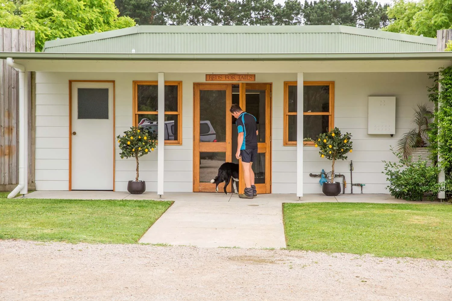 SERVICES & PRICING Luxury Dog Boarding Kennel, Mornington Peninsula