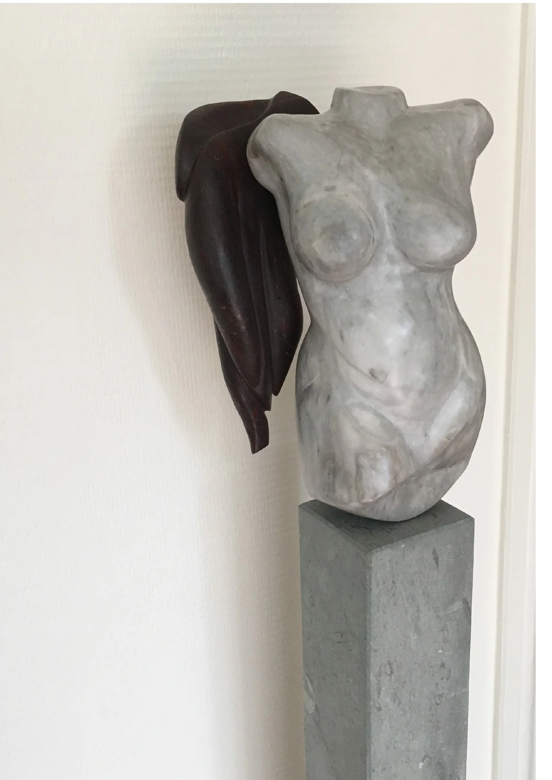 torso 3.JPG