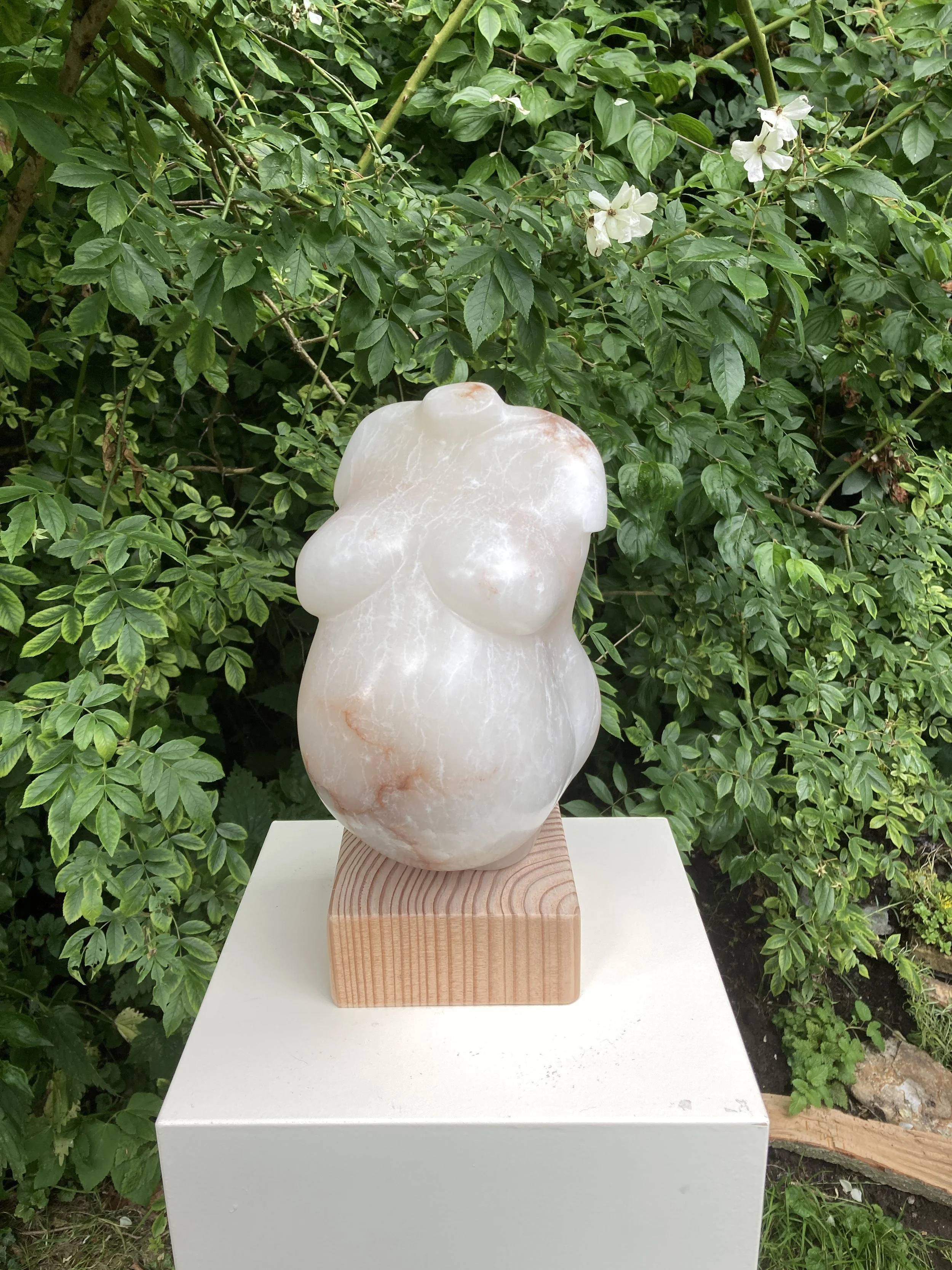 Stages off Beauty 2- Not for sale-