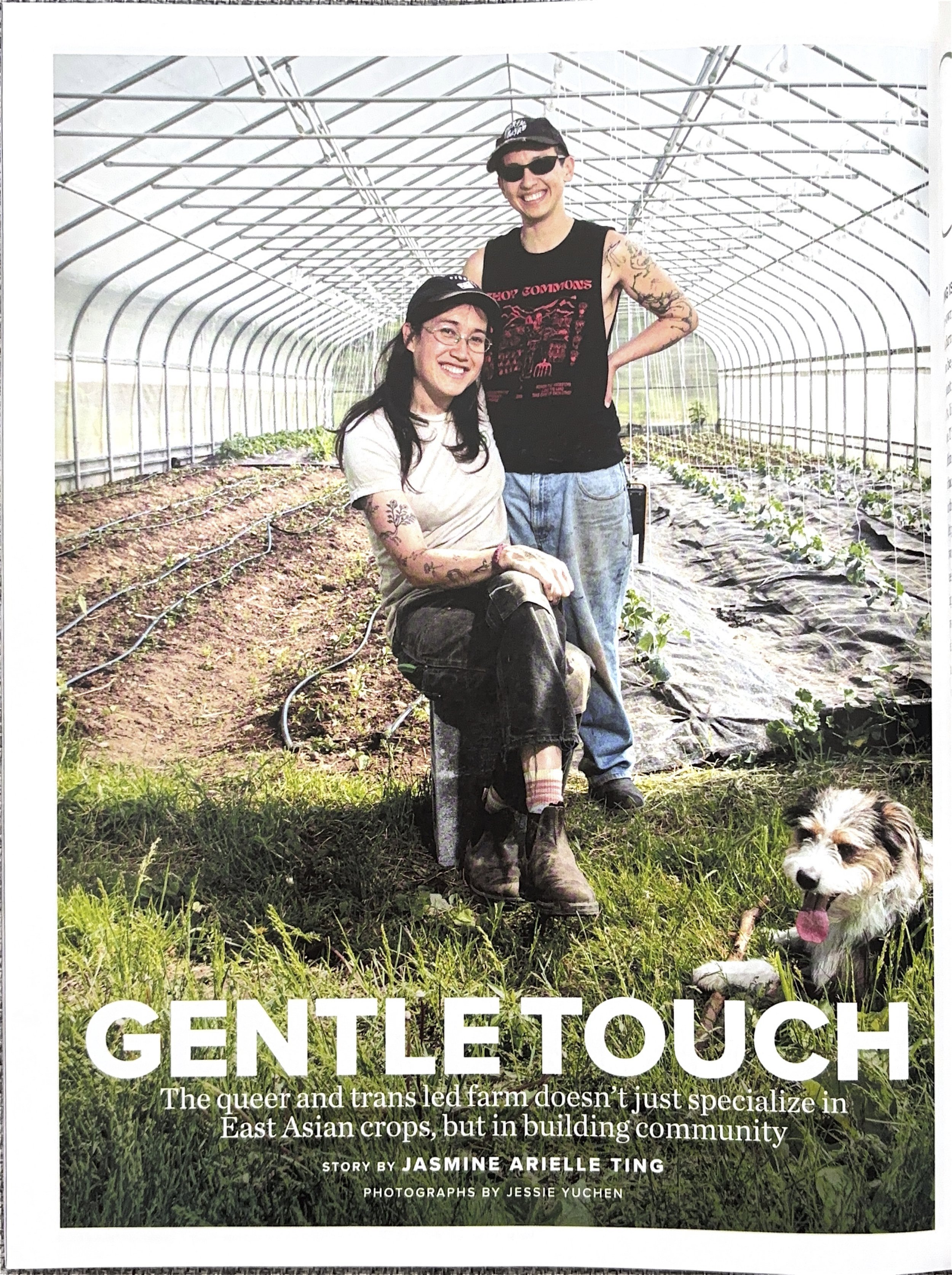 GentleTouch-1.jpg