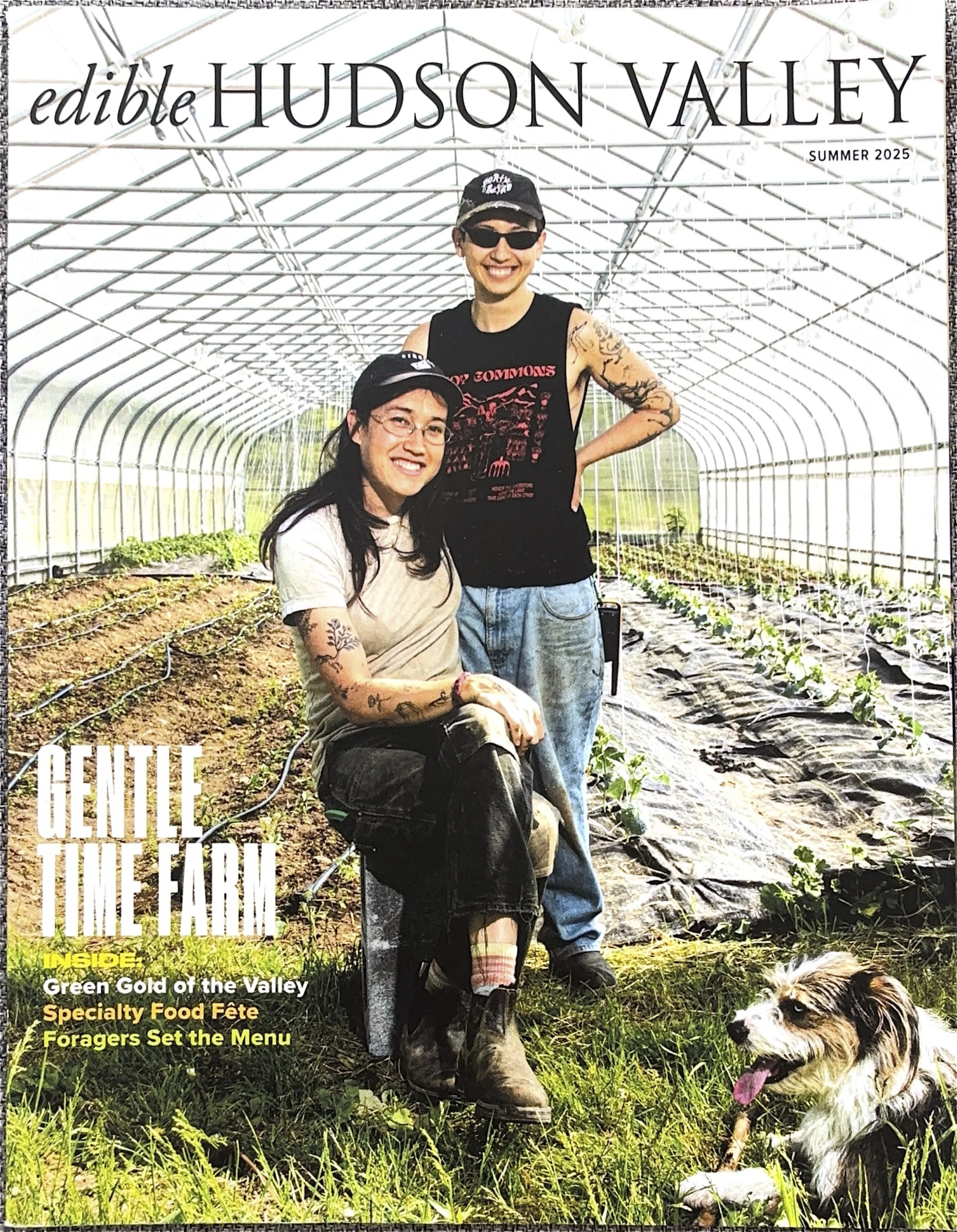 GentleTouch-Cover.jpg